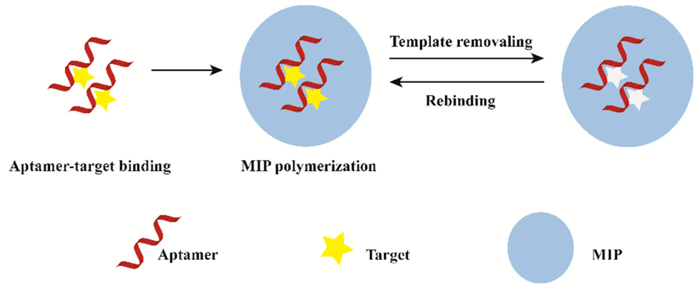 Biosensors 12 00576 g001