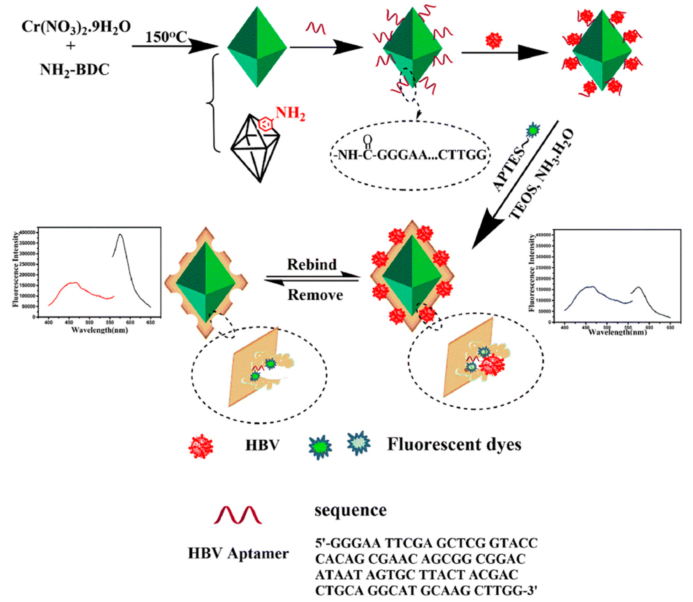 Biosensors 12 00576 g004