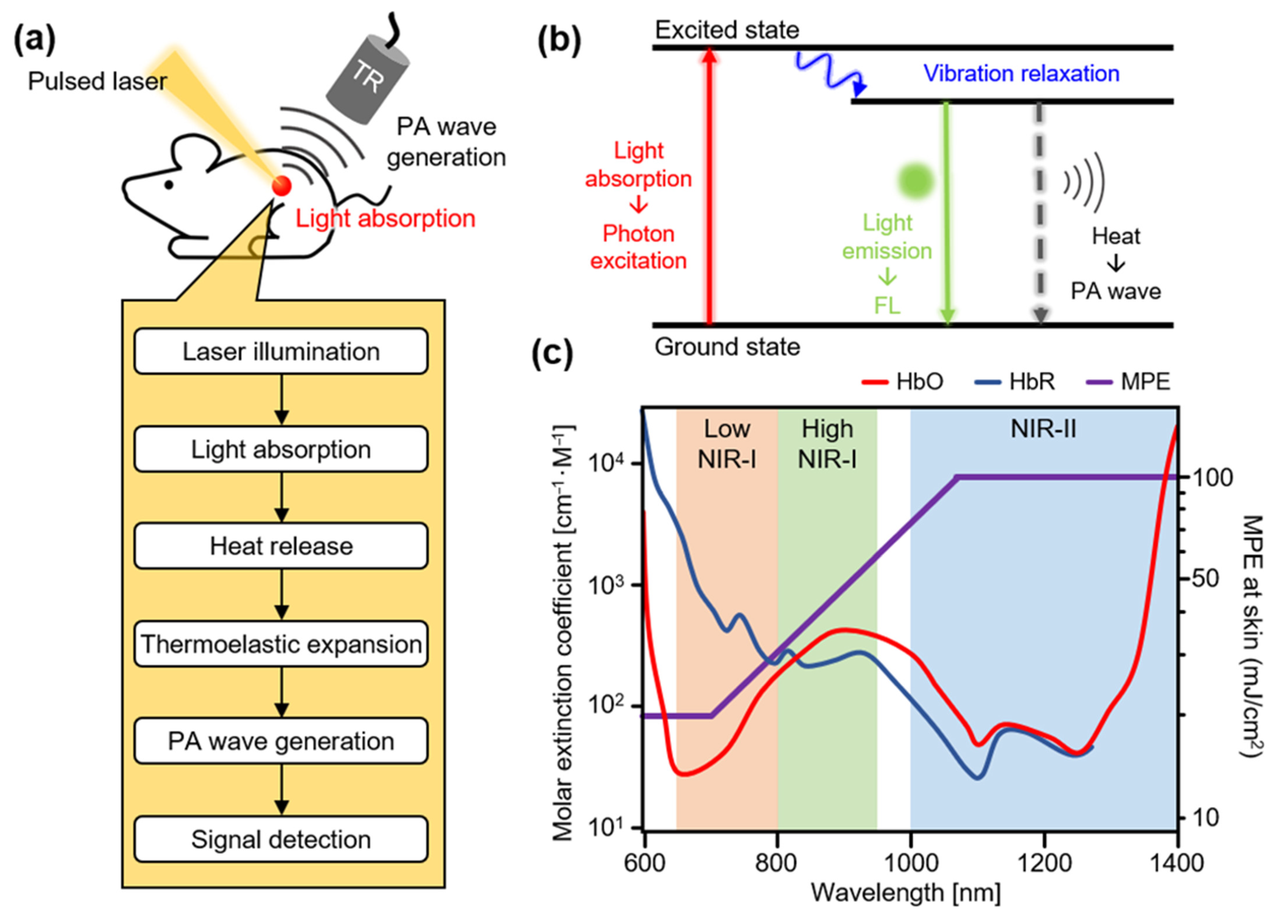 Biosensors 12 00594 g001