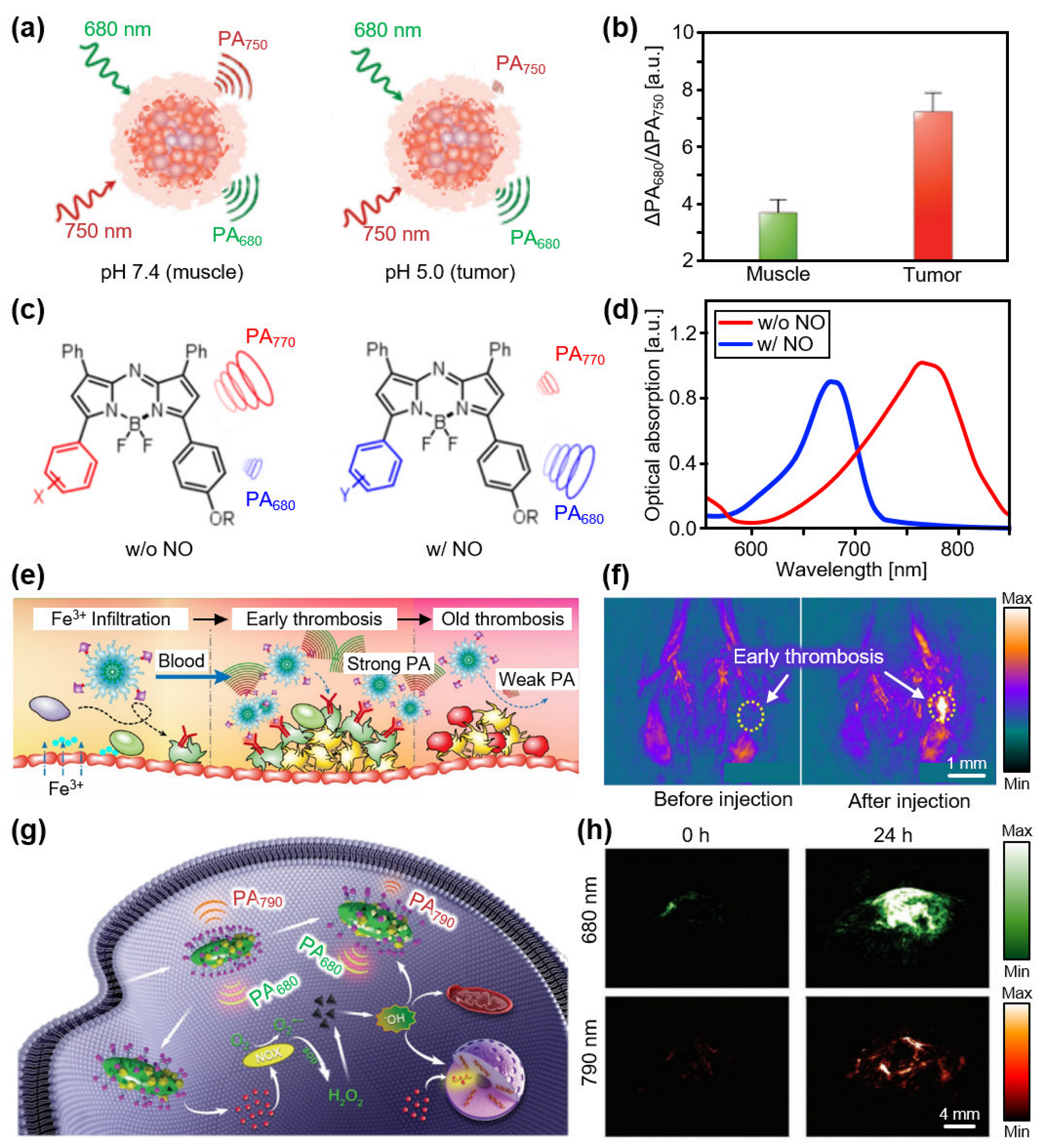 Biosensors 12 00594 g002