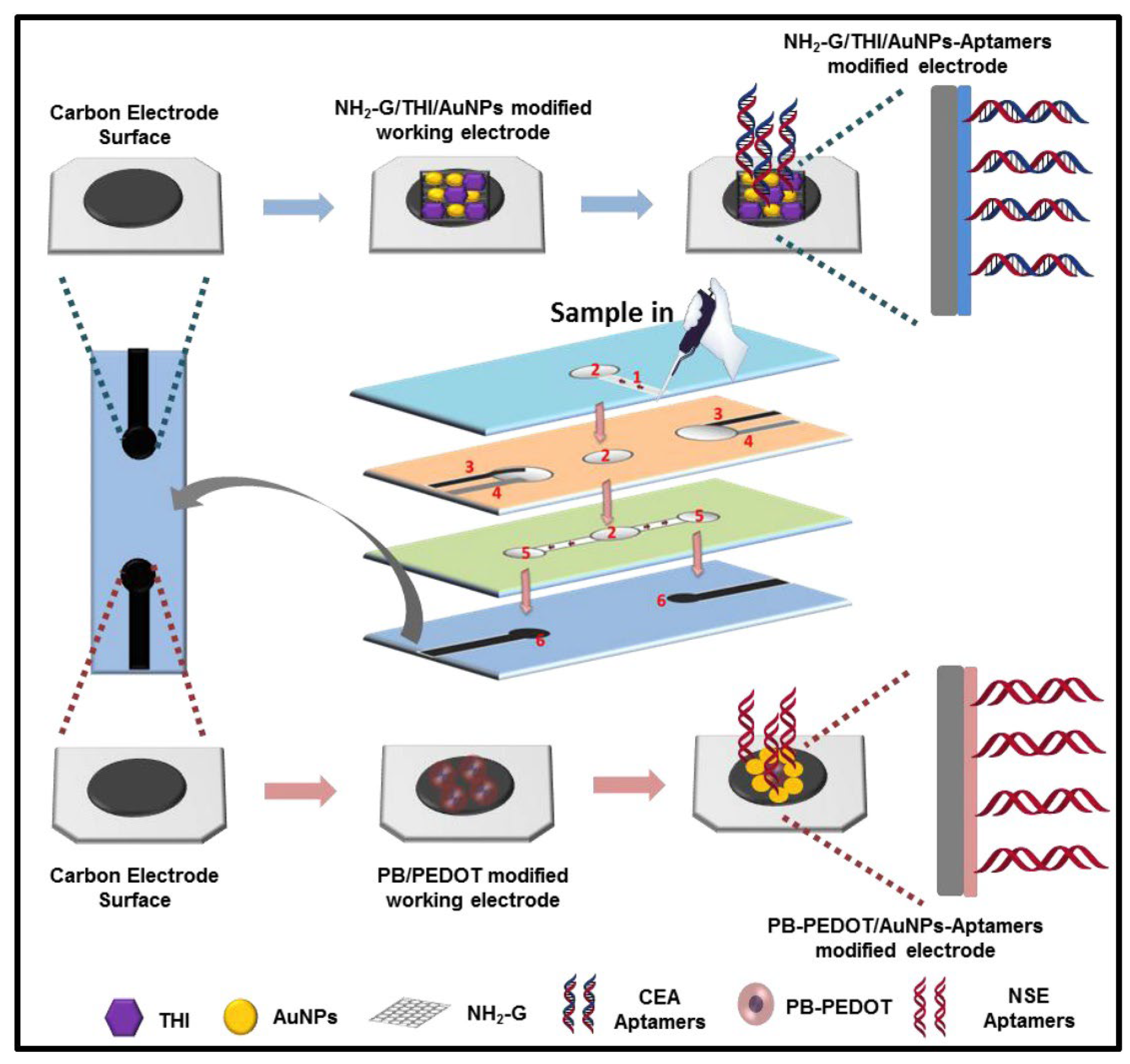 Biosensors 12 00607 g009