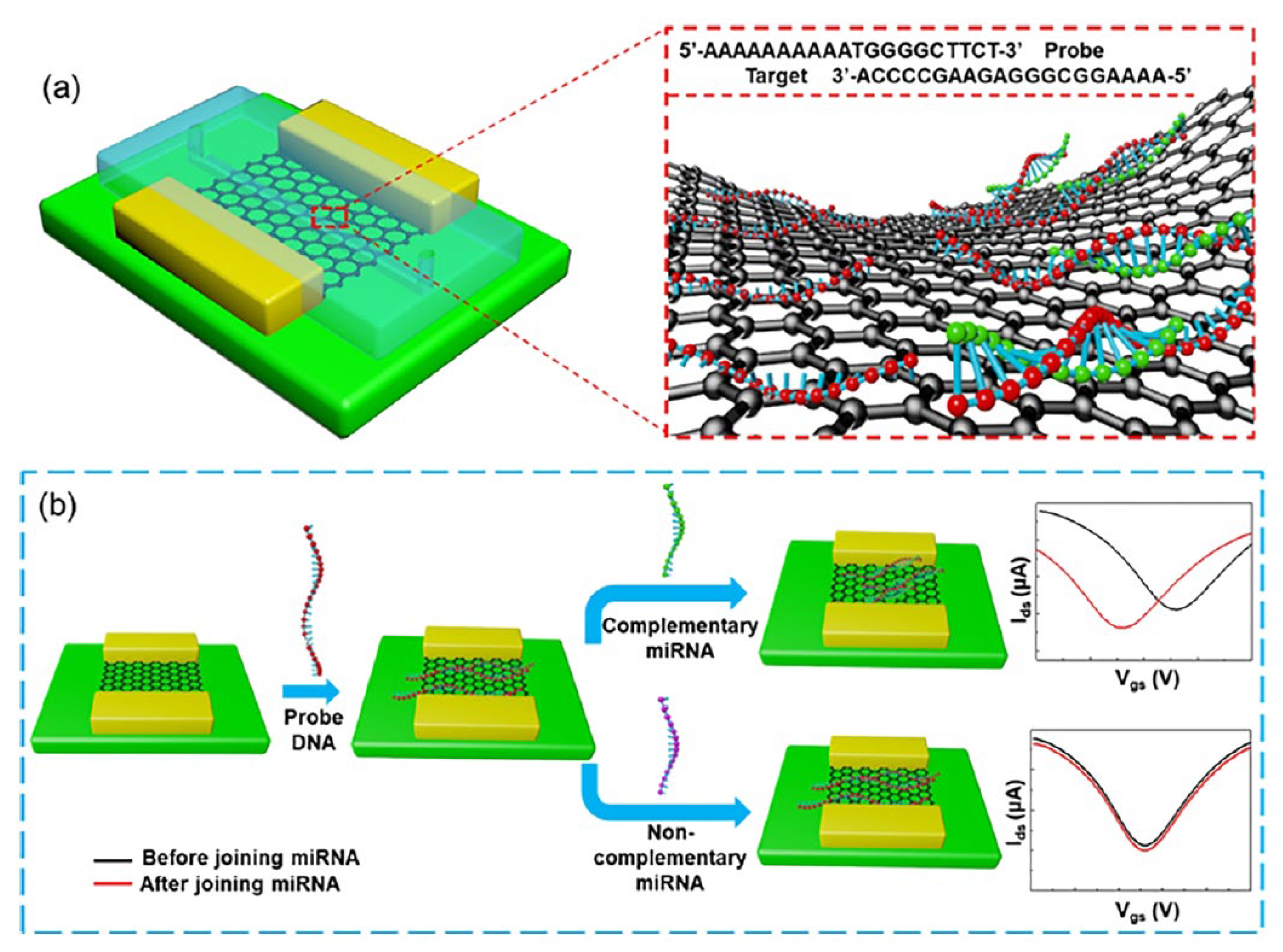 Biosensors 12 00607 g014
