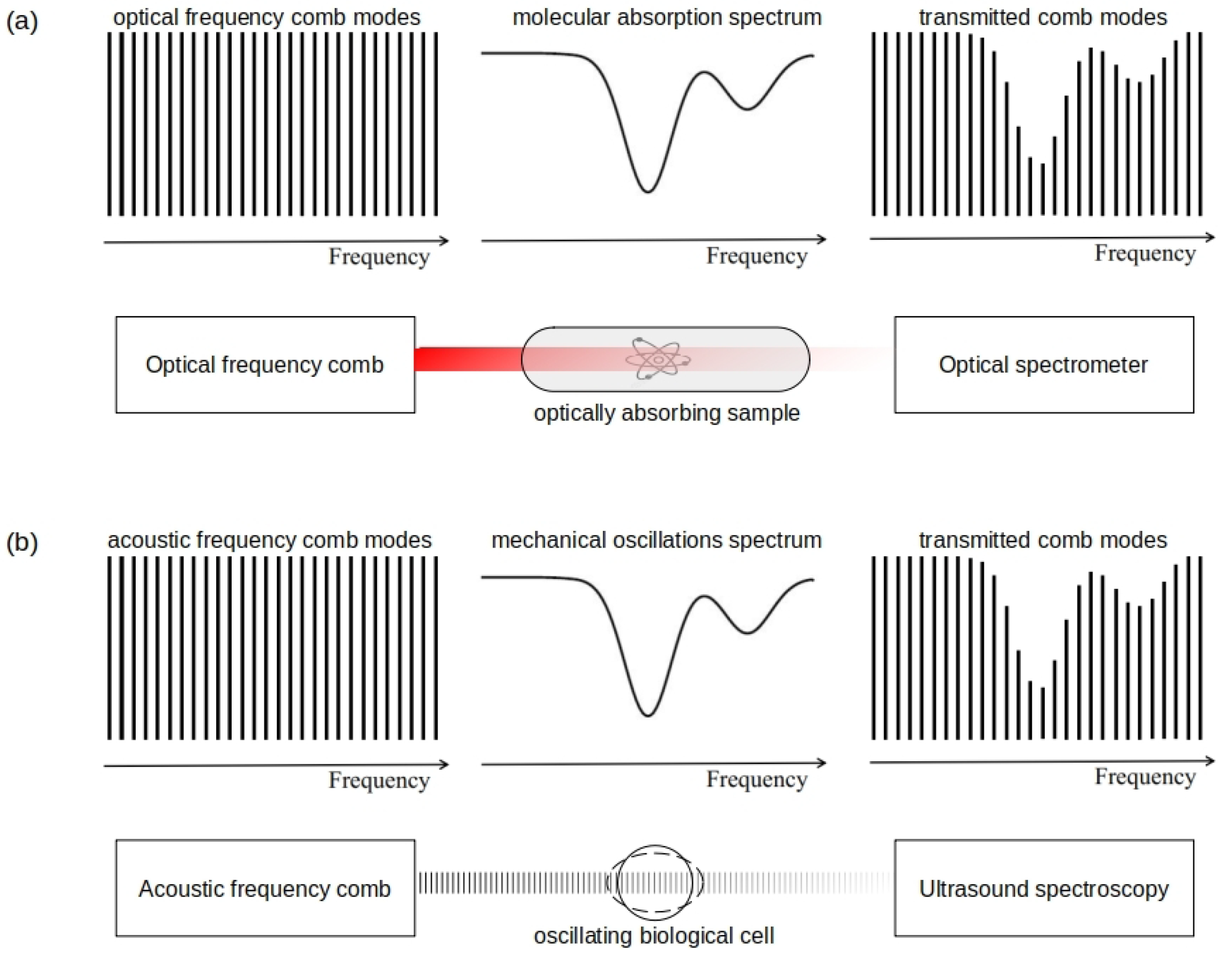 Biosensors 12 00624 g014