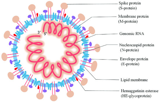 Biosensors, Free Full-Text