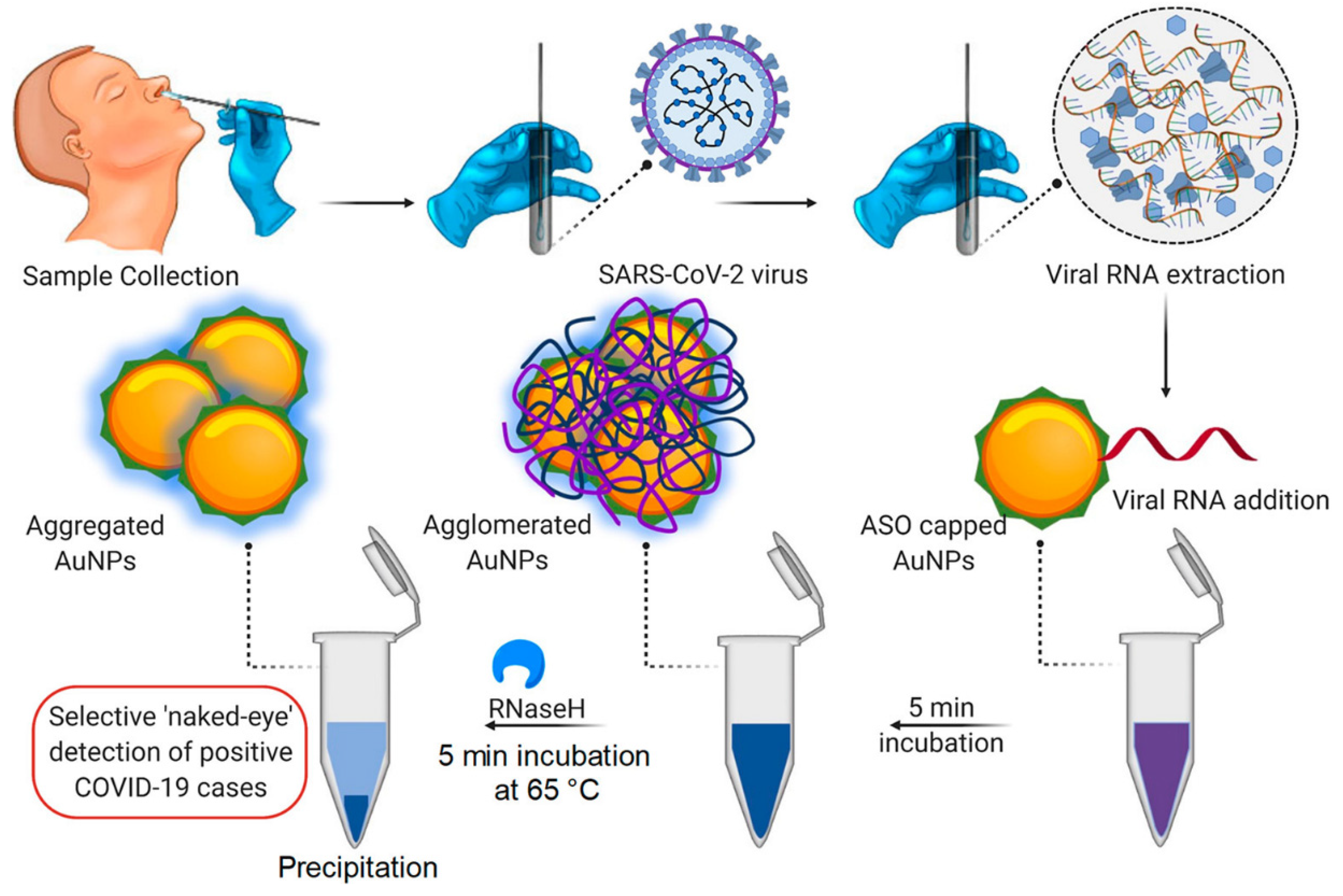 Biosensors Free Full Text State Of The Art Smart And Intelligent Nanobiosensors For SARS CoV