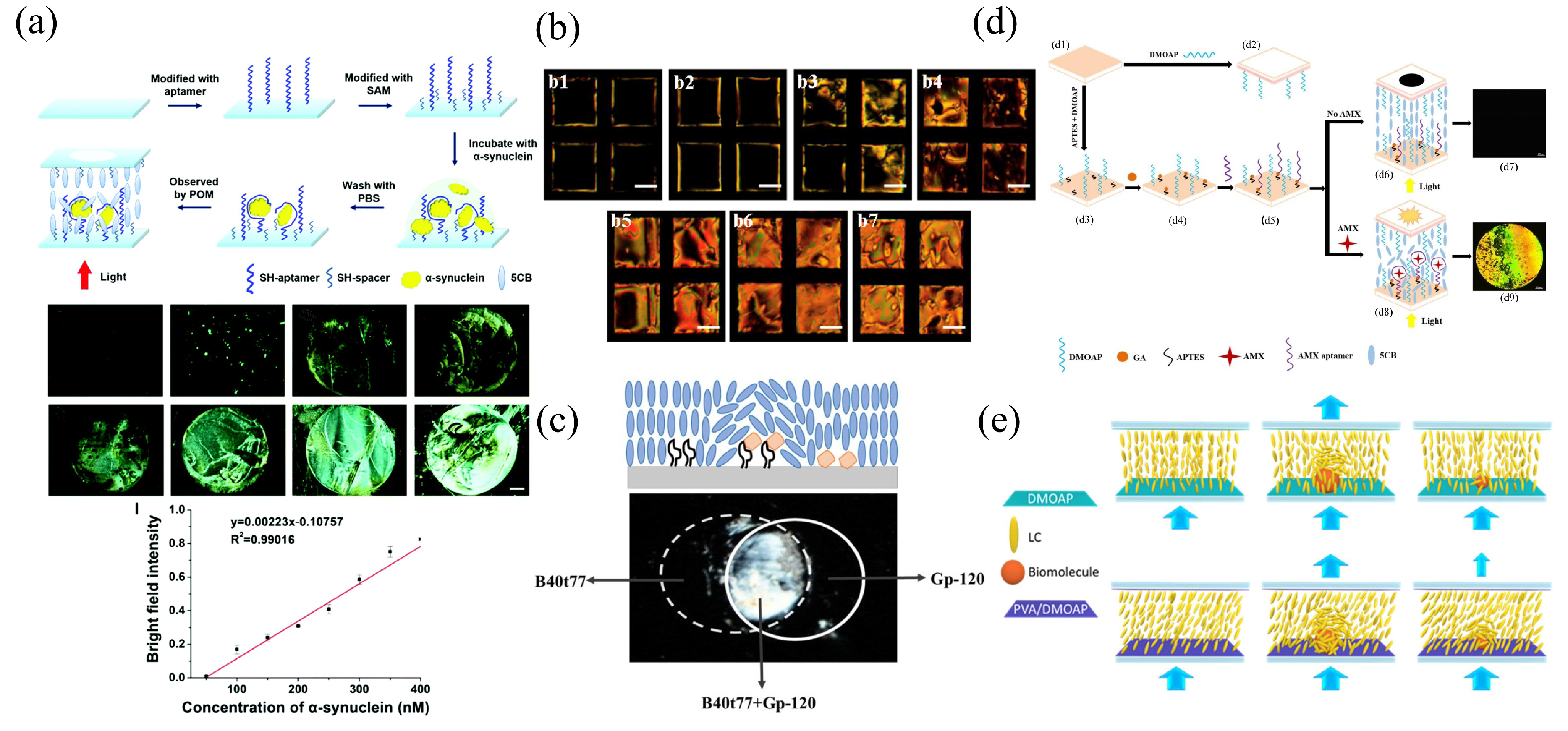 Biosensors 12 00639 g002