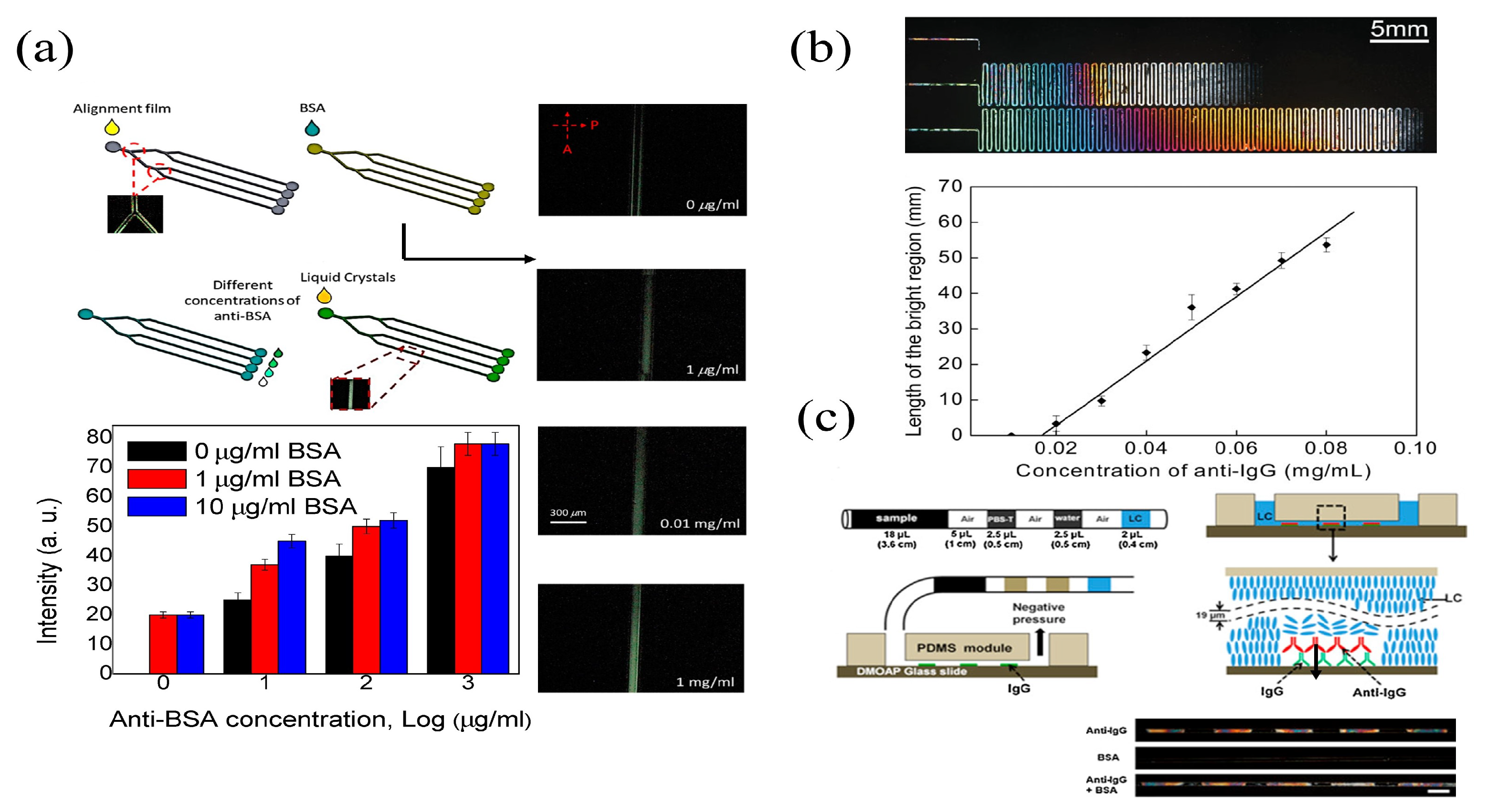 Biosensors 12 00639 g003