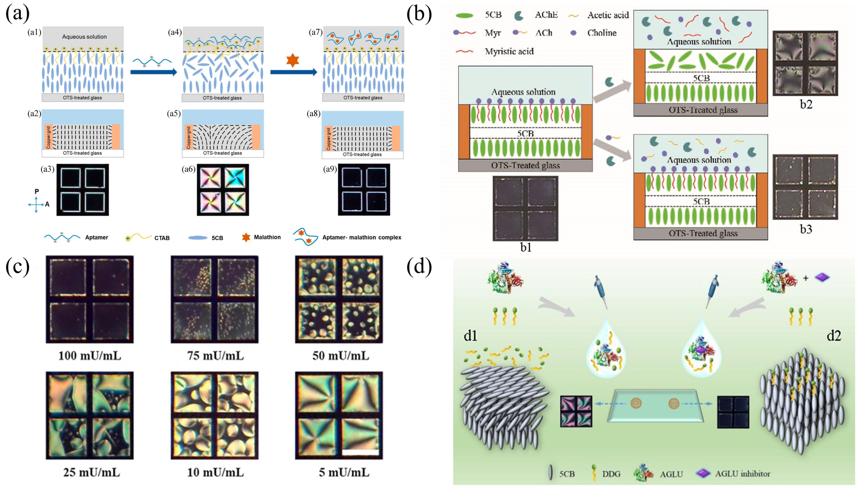 Biosensors 12 00639 g004