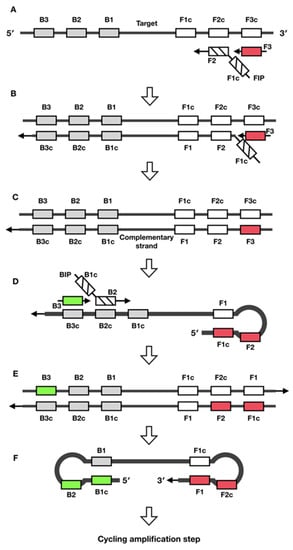 Biosensors, Free Full-Text