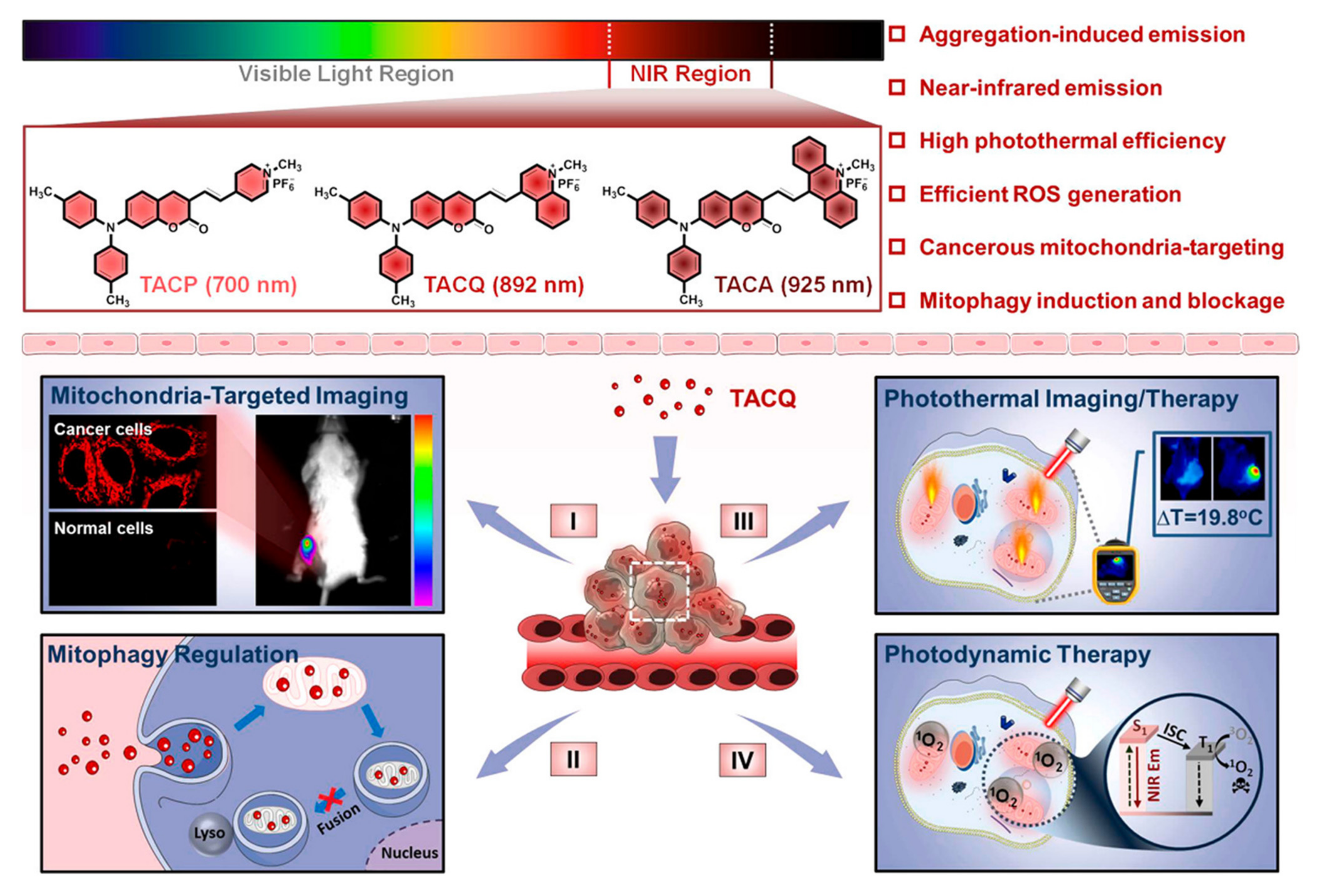 Biosensors 12 00683 g005
