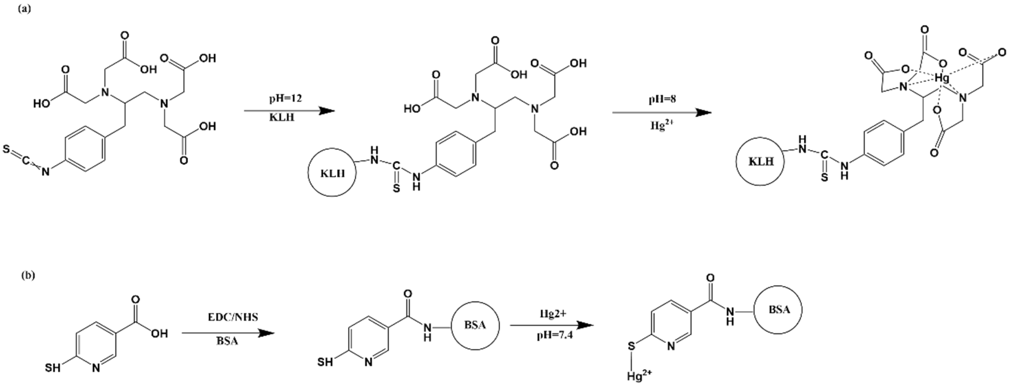 Biosensors 12 00694 g001