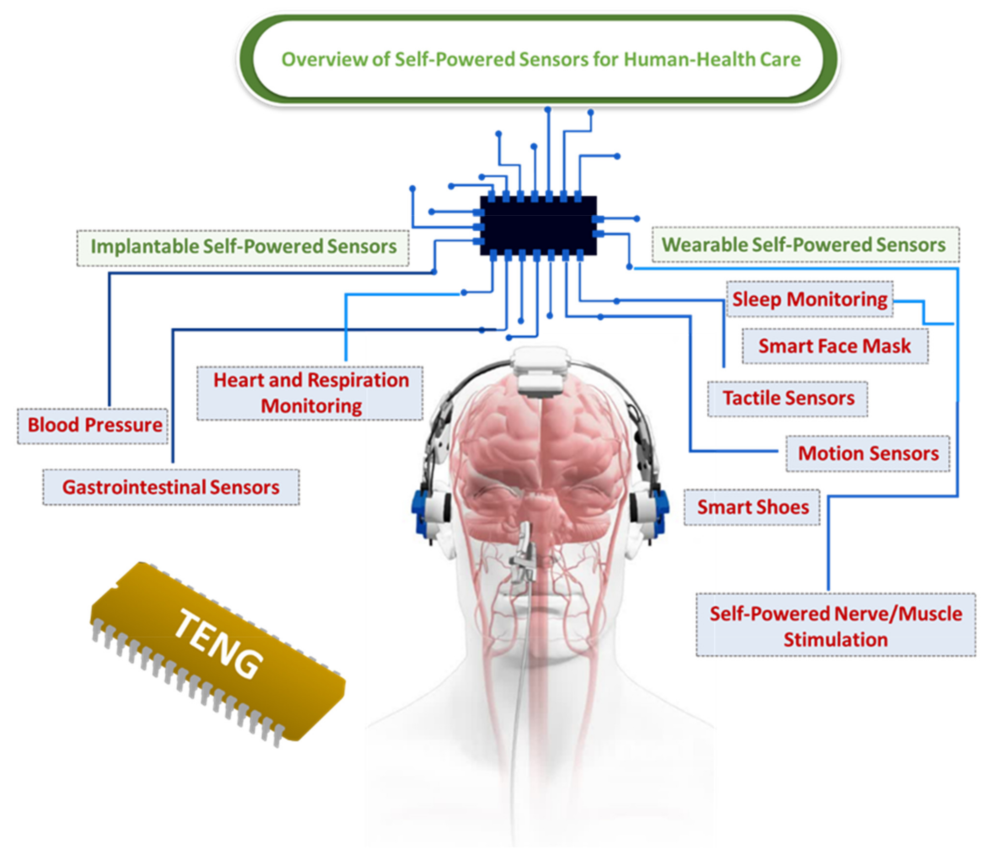 Biosensors 12 00697 g004