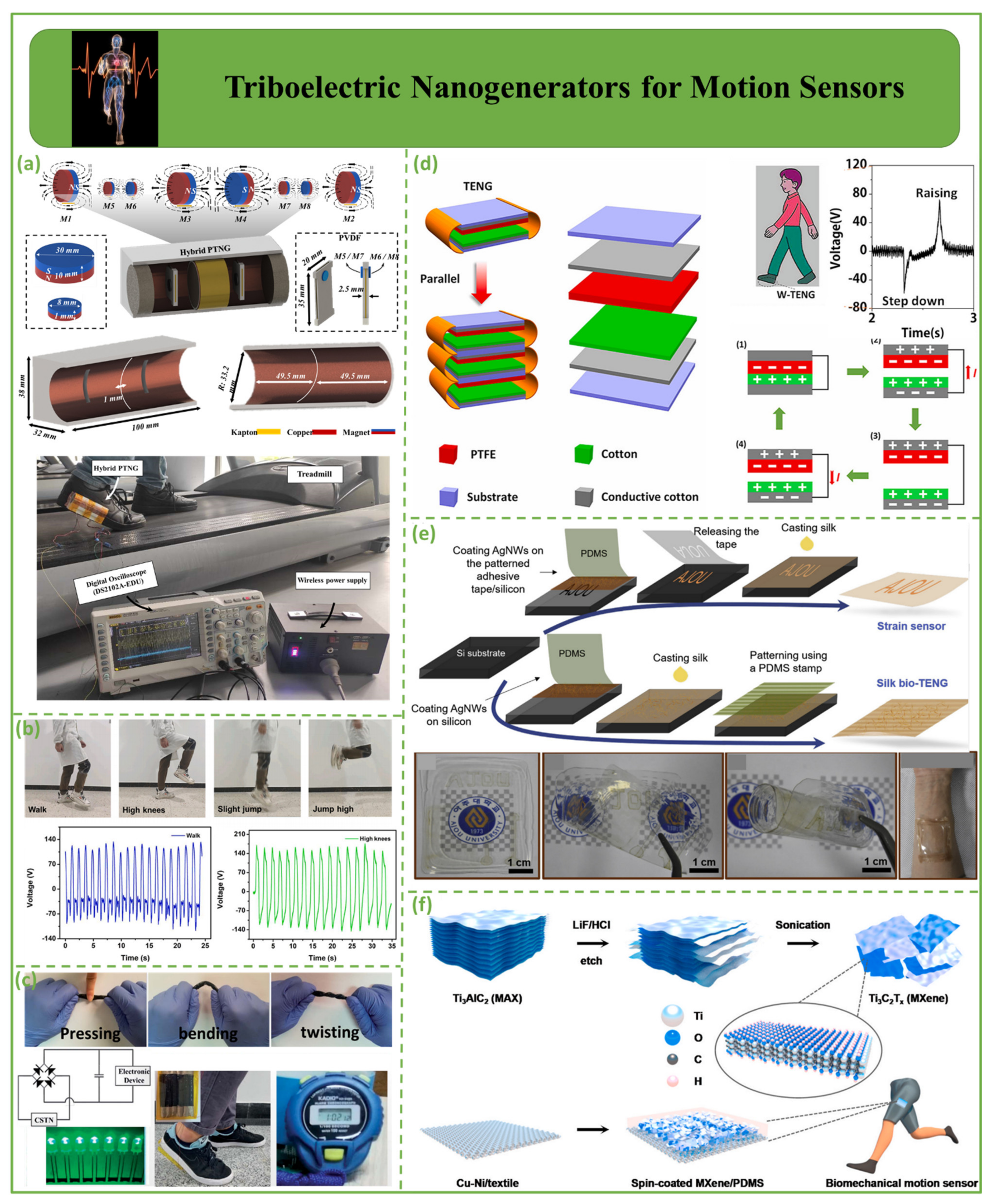 Biosensors 12 00697 g008
