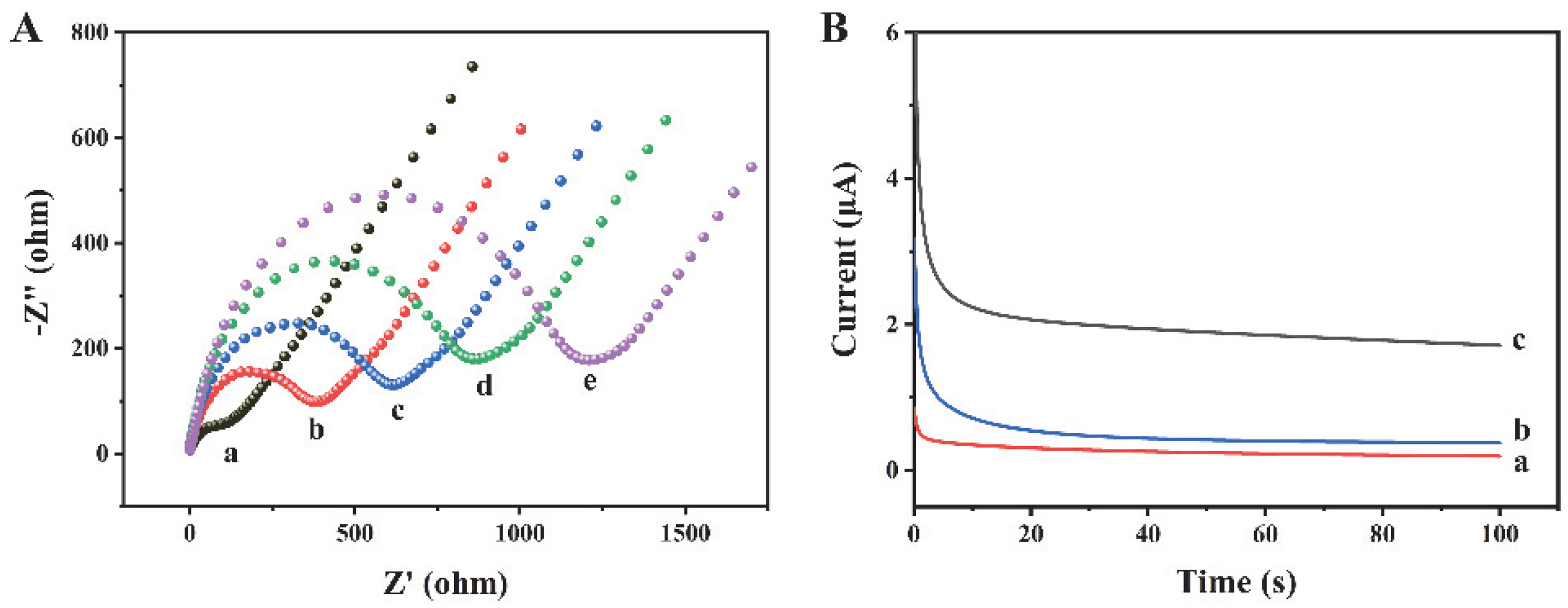 Biosensors 12 00704 g003