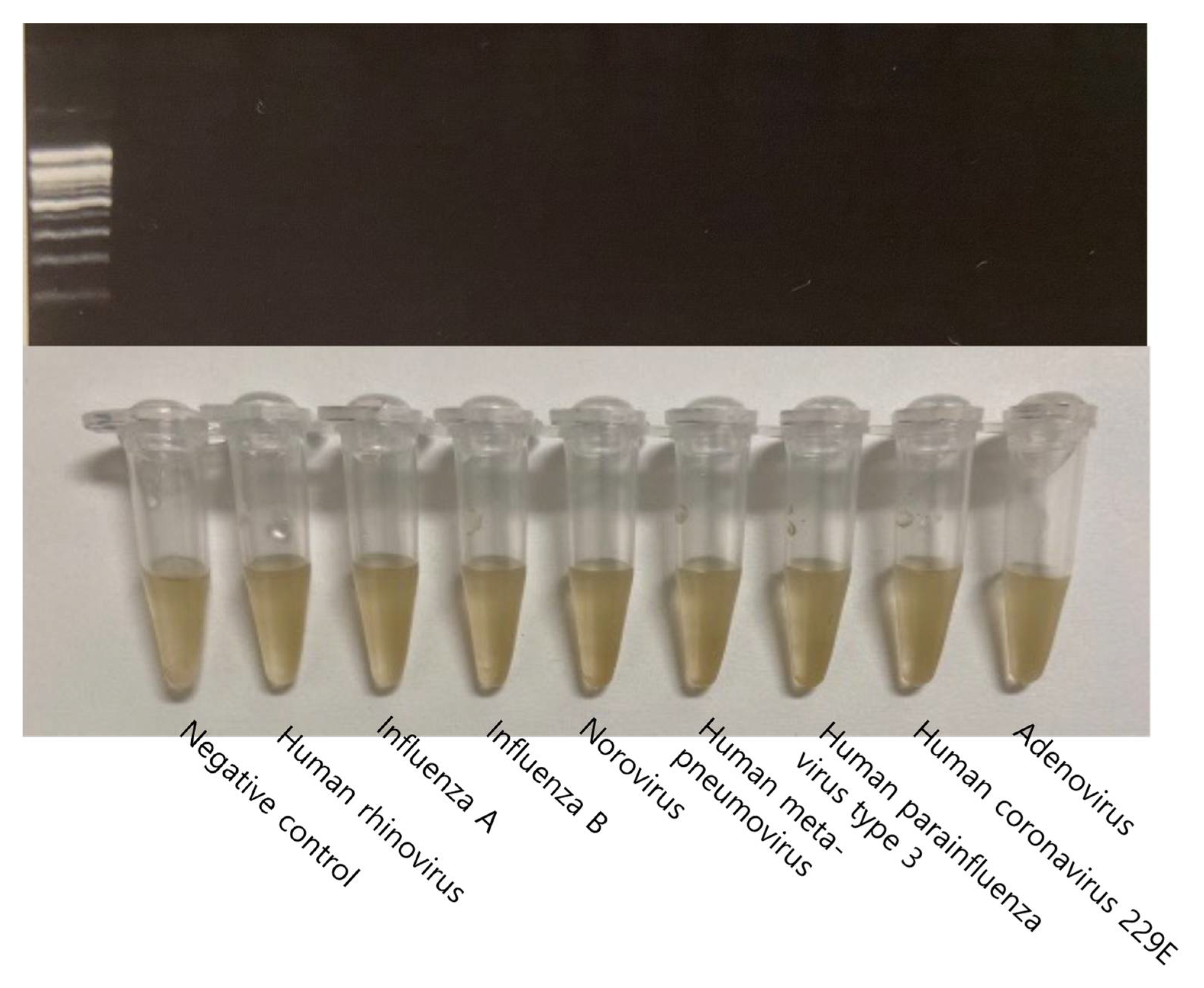 Biosensors 12 00744 g006