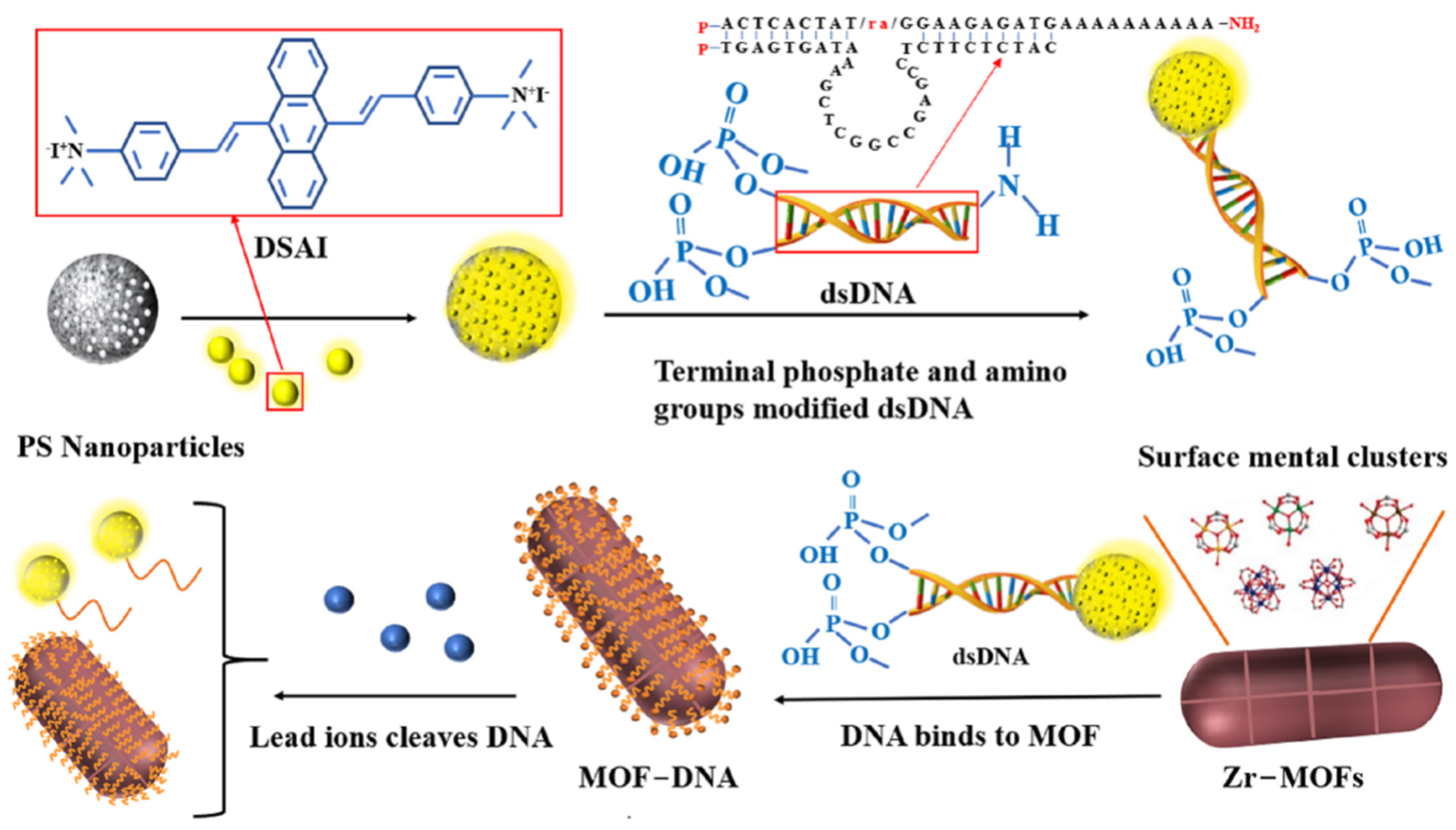 Biosensors 12 00745 g001