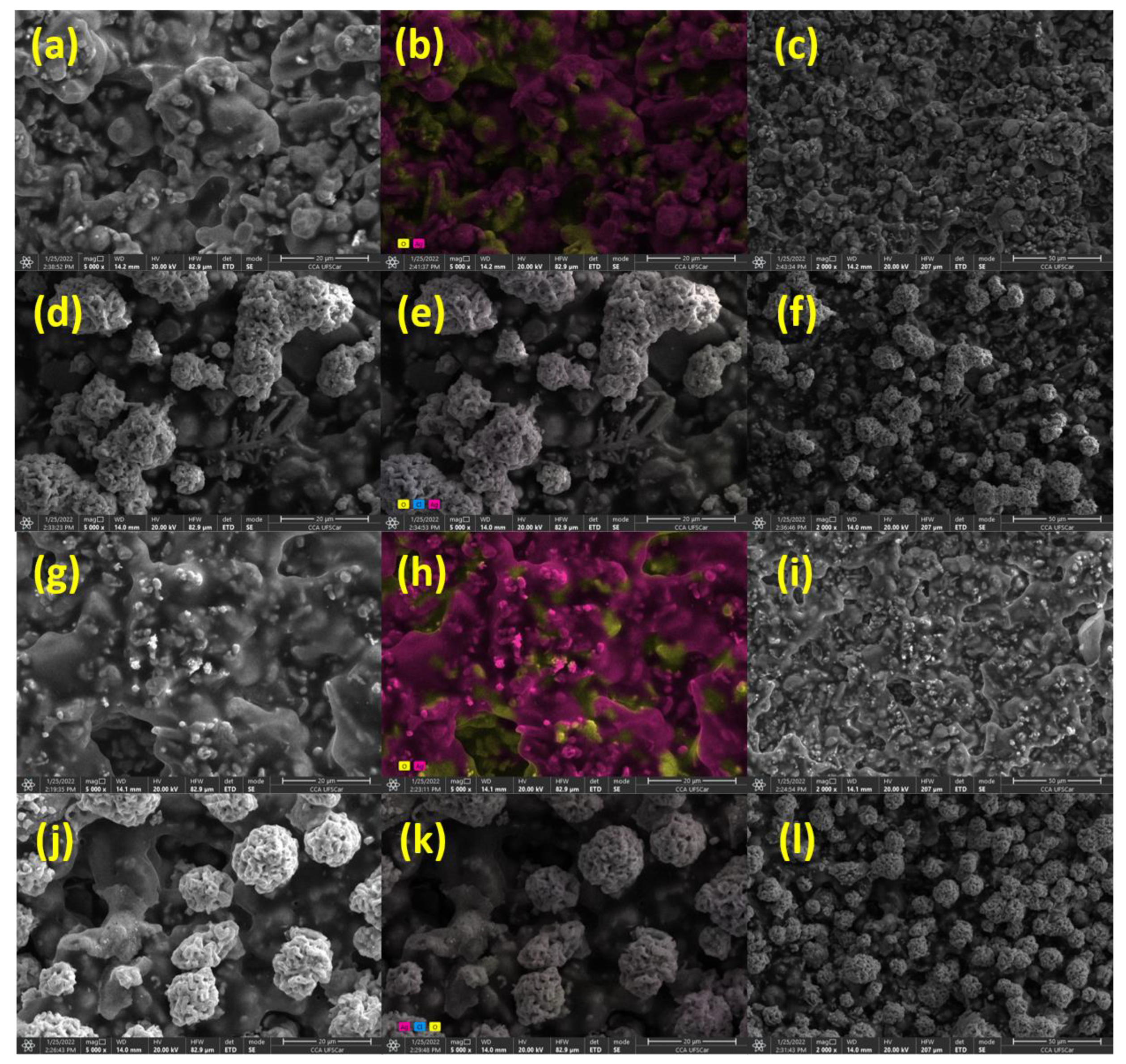 Biosensors 12 00761 g003