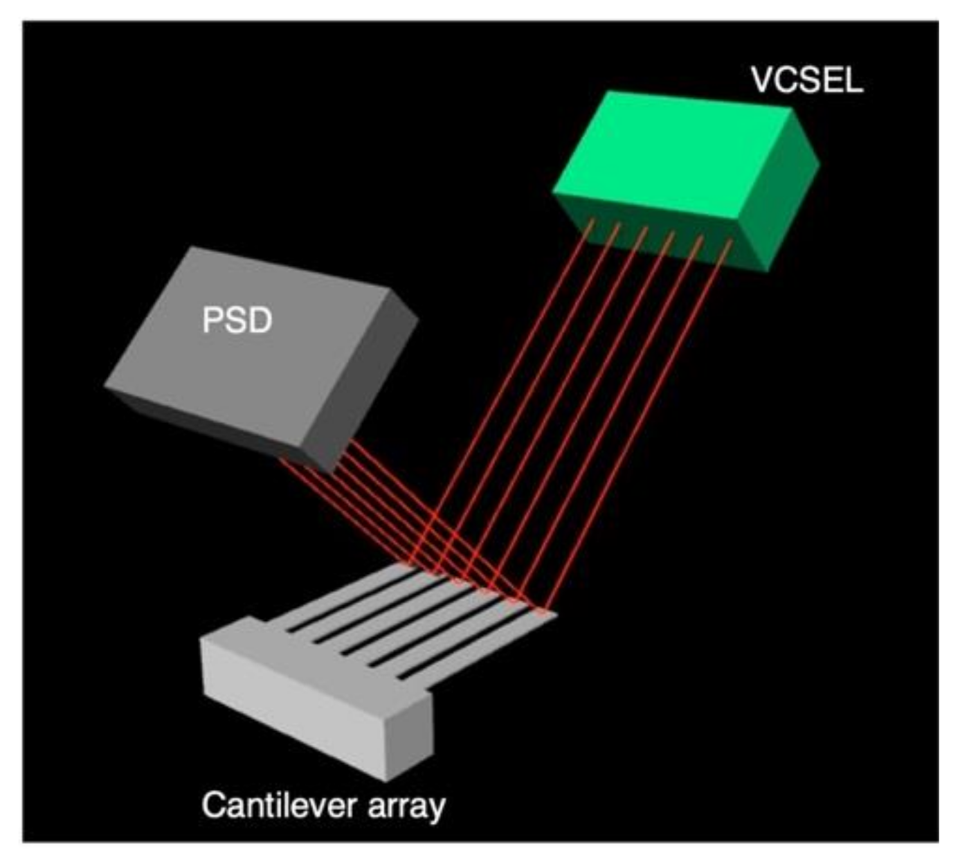 Biosensors 12 00762 g008