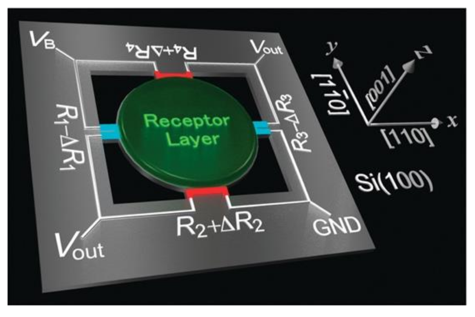 Biosensors 12 00762 g009