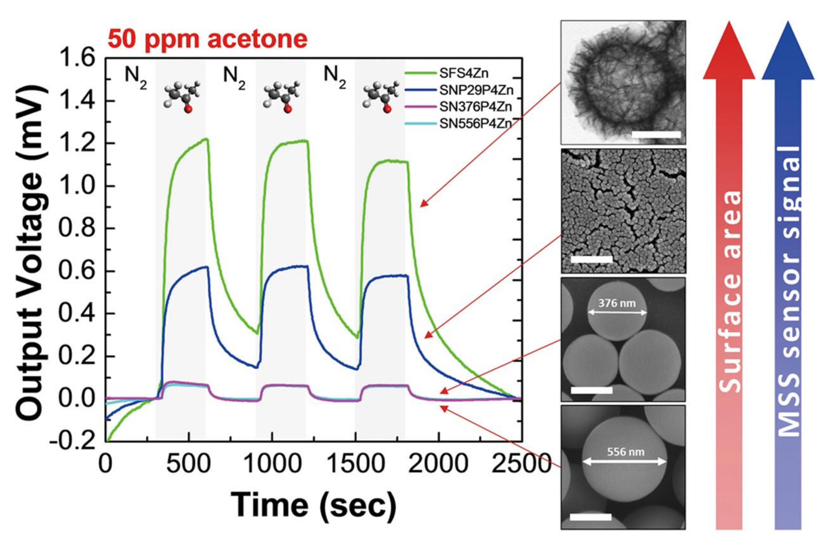 Biosensors 12 00762 g011