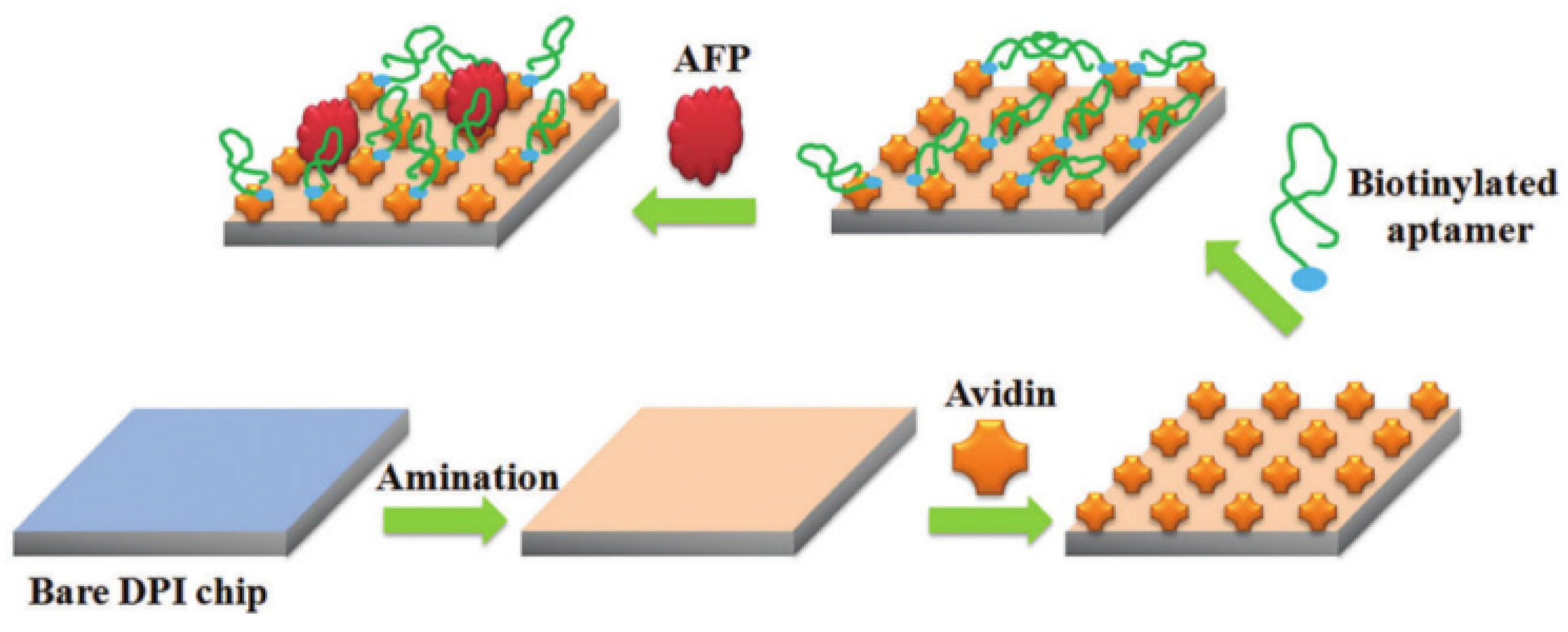 Biosensors Free Full Text Detection Of Alpha Fetoprotein Using Aptamer Based Sensors