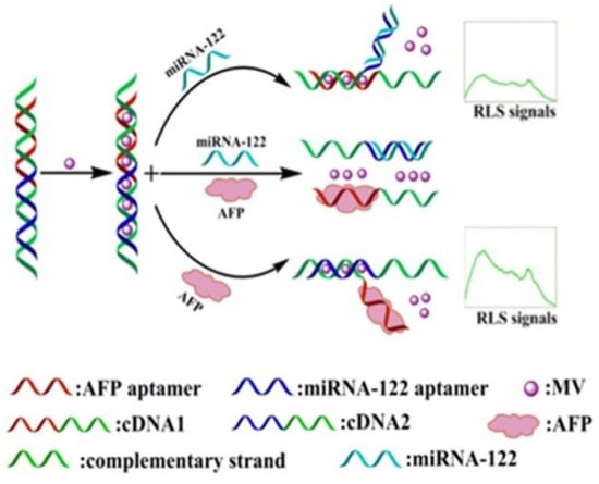 Biosensors Free Full Text Detection Of Alpha Fetoprotein Using Aptamer Based Sensors