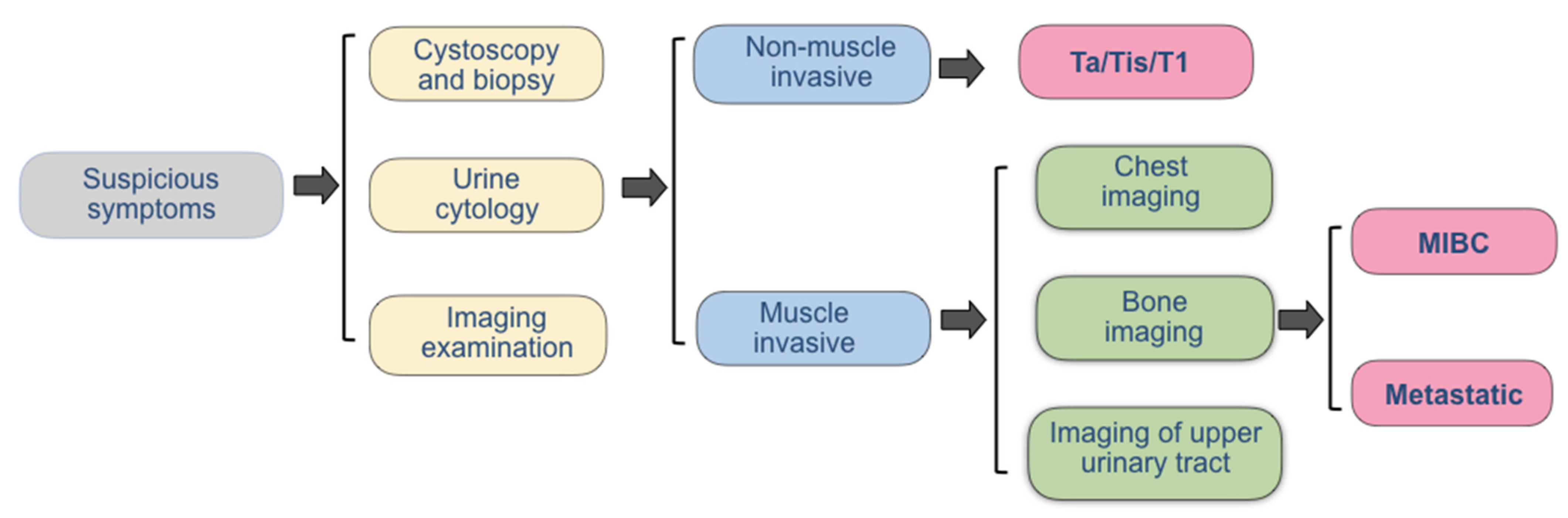 Biosensors 12 00796 g002