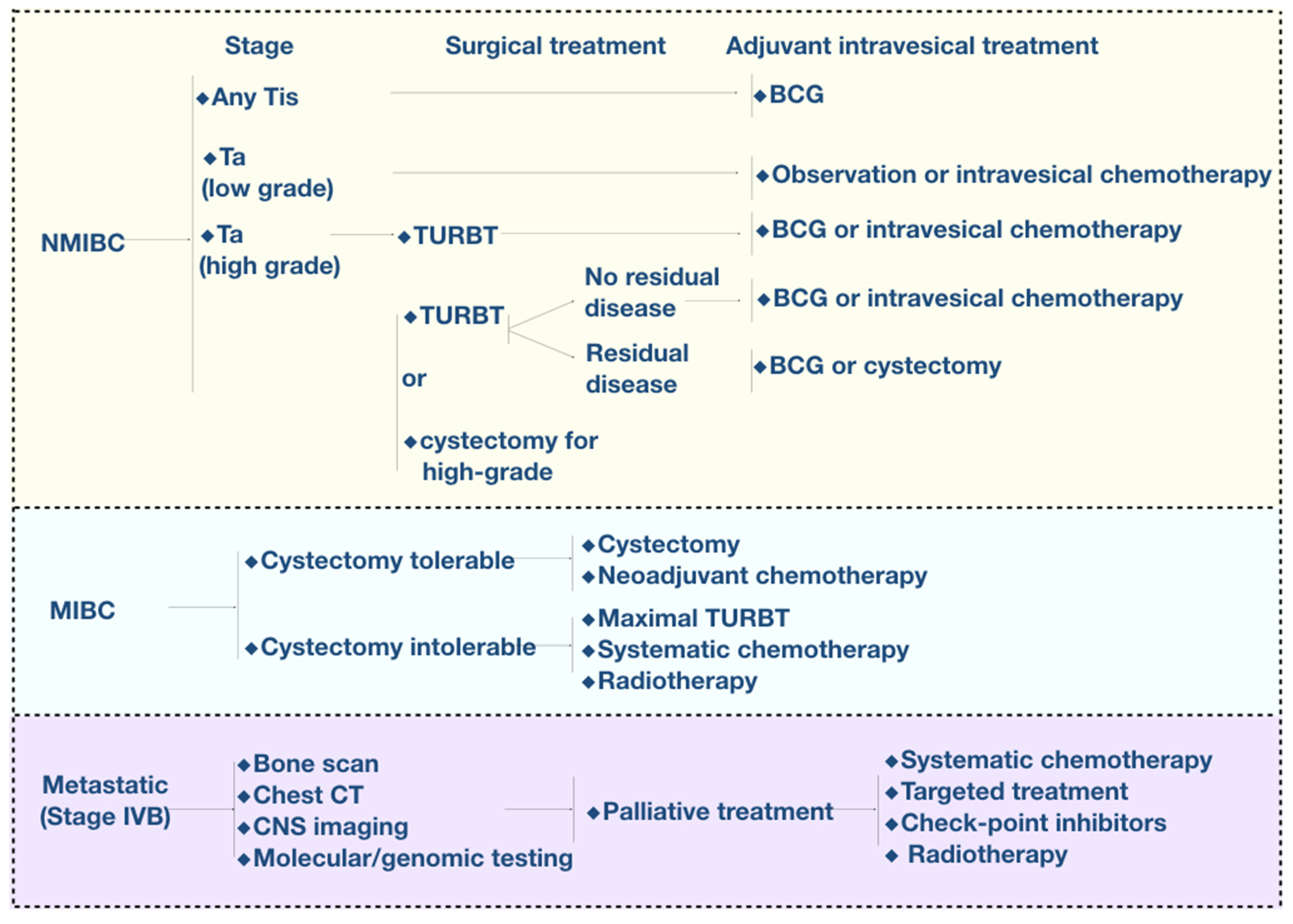 Biosensors 12 00796 g003