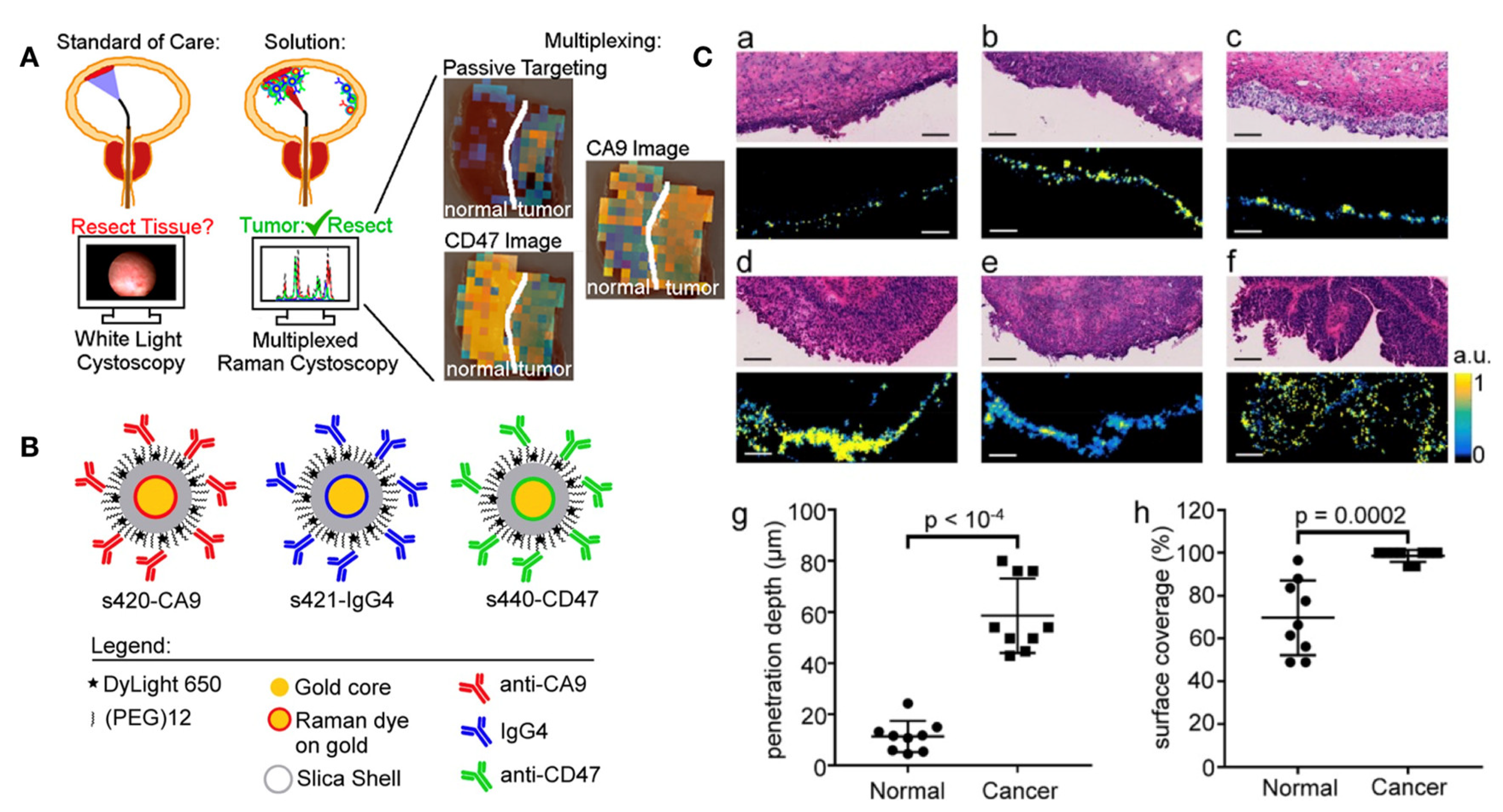 Biosensors 12 00796 g004
