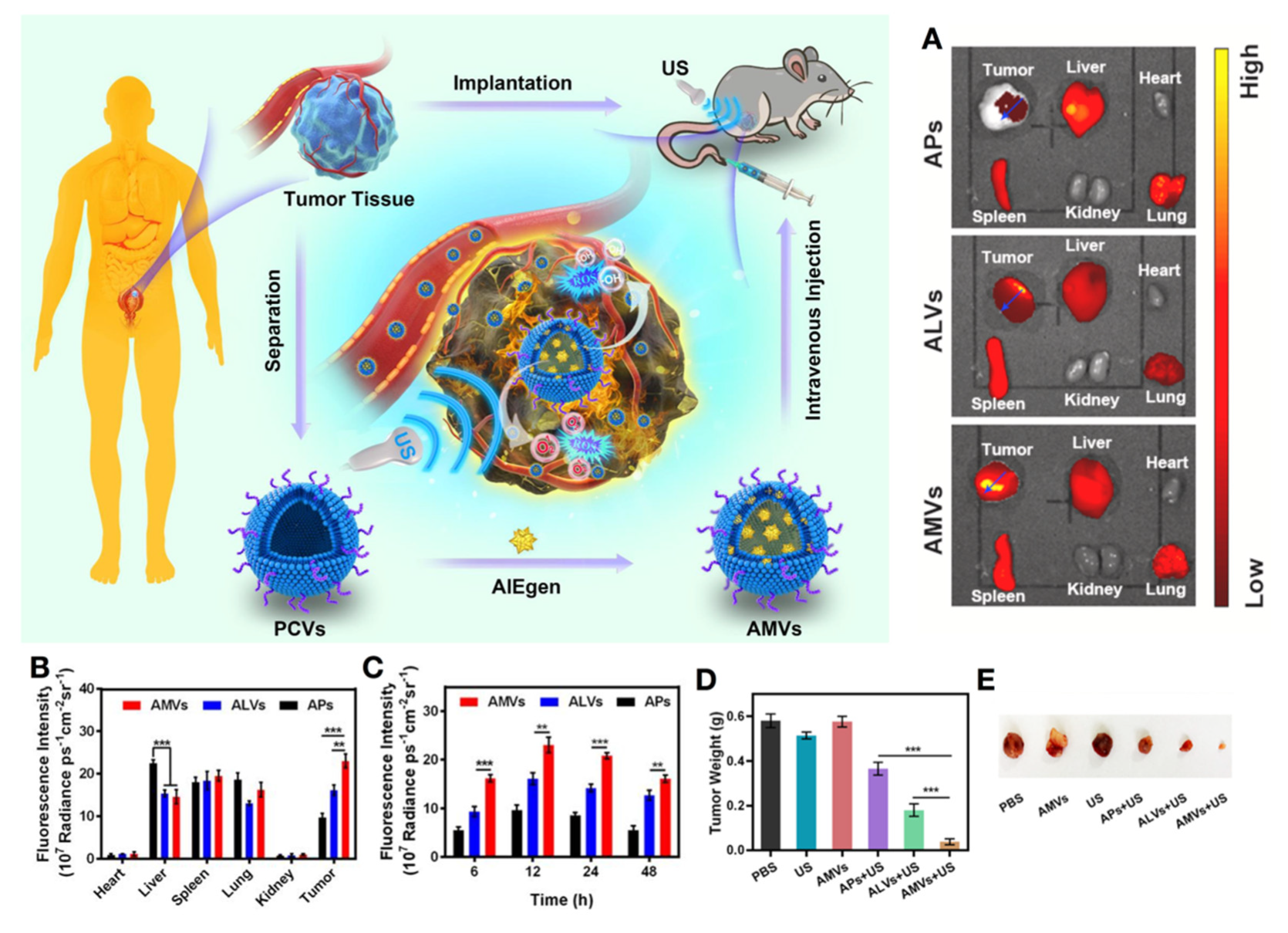 Biosensors 12 00796 g008