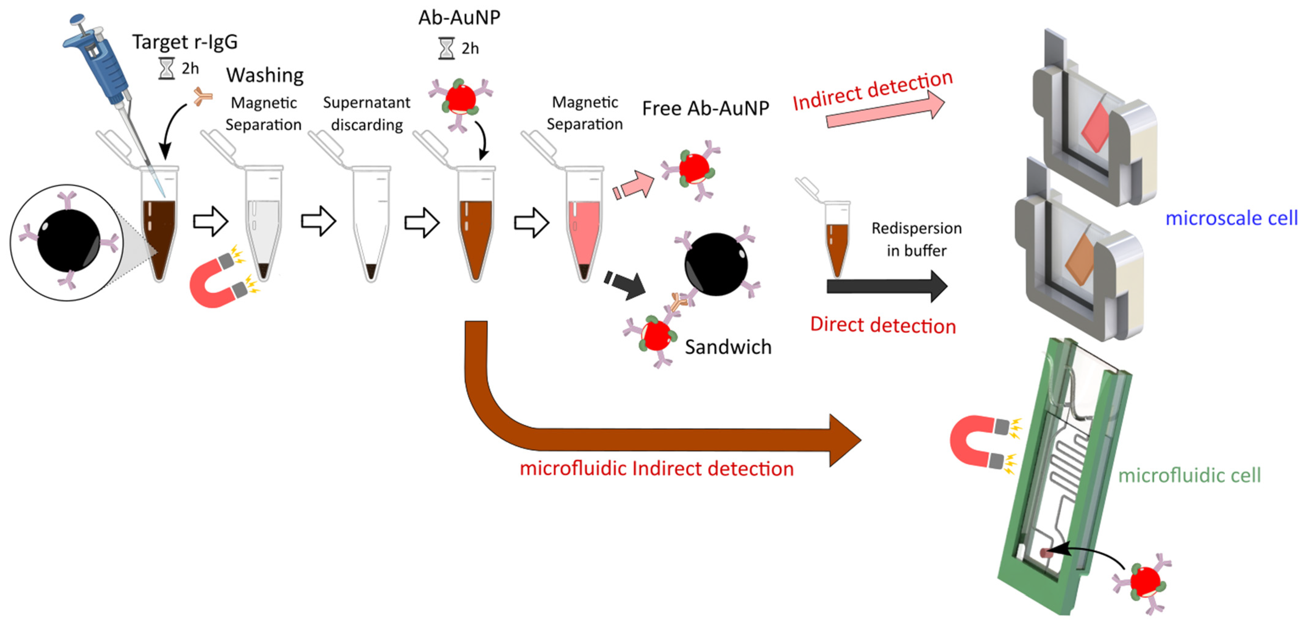 Design and Optimization of A Magneto-Plasmonic Sandwich Biosensor for ...