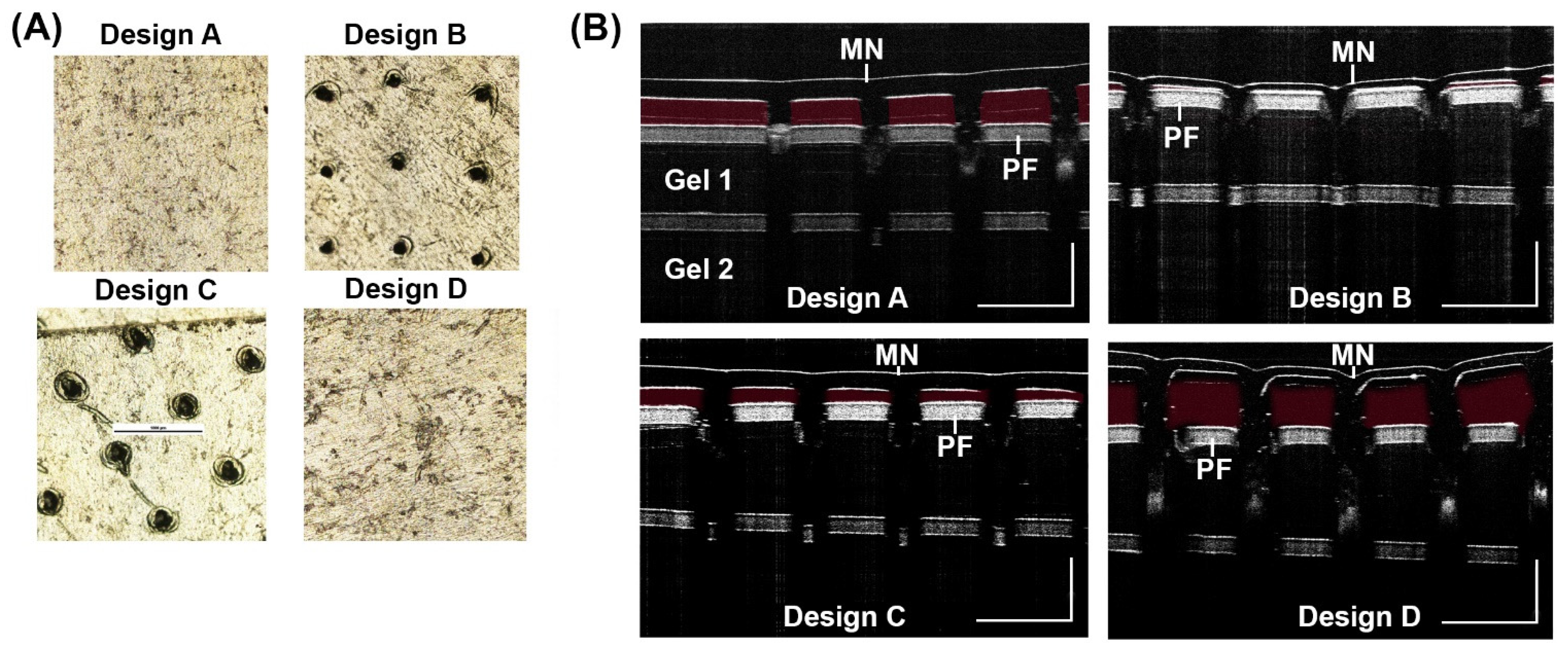 Biosensors 12 00819 g004