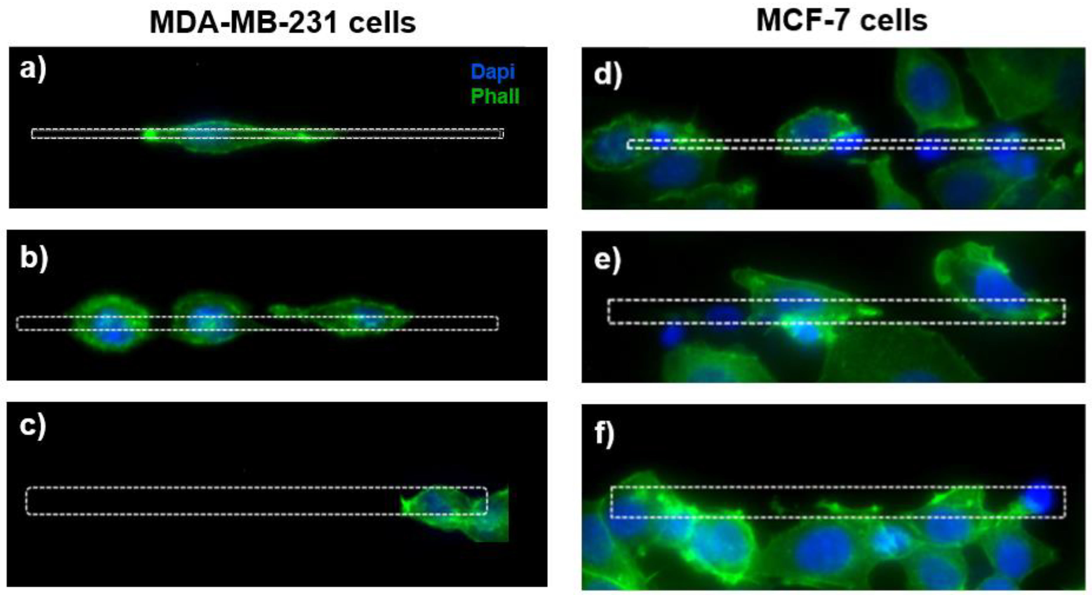 Biosensors 12 00822 g004 Biosensors 12 00822 g004