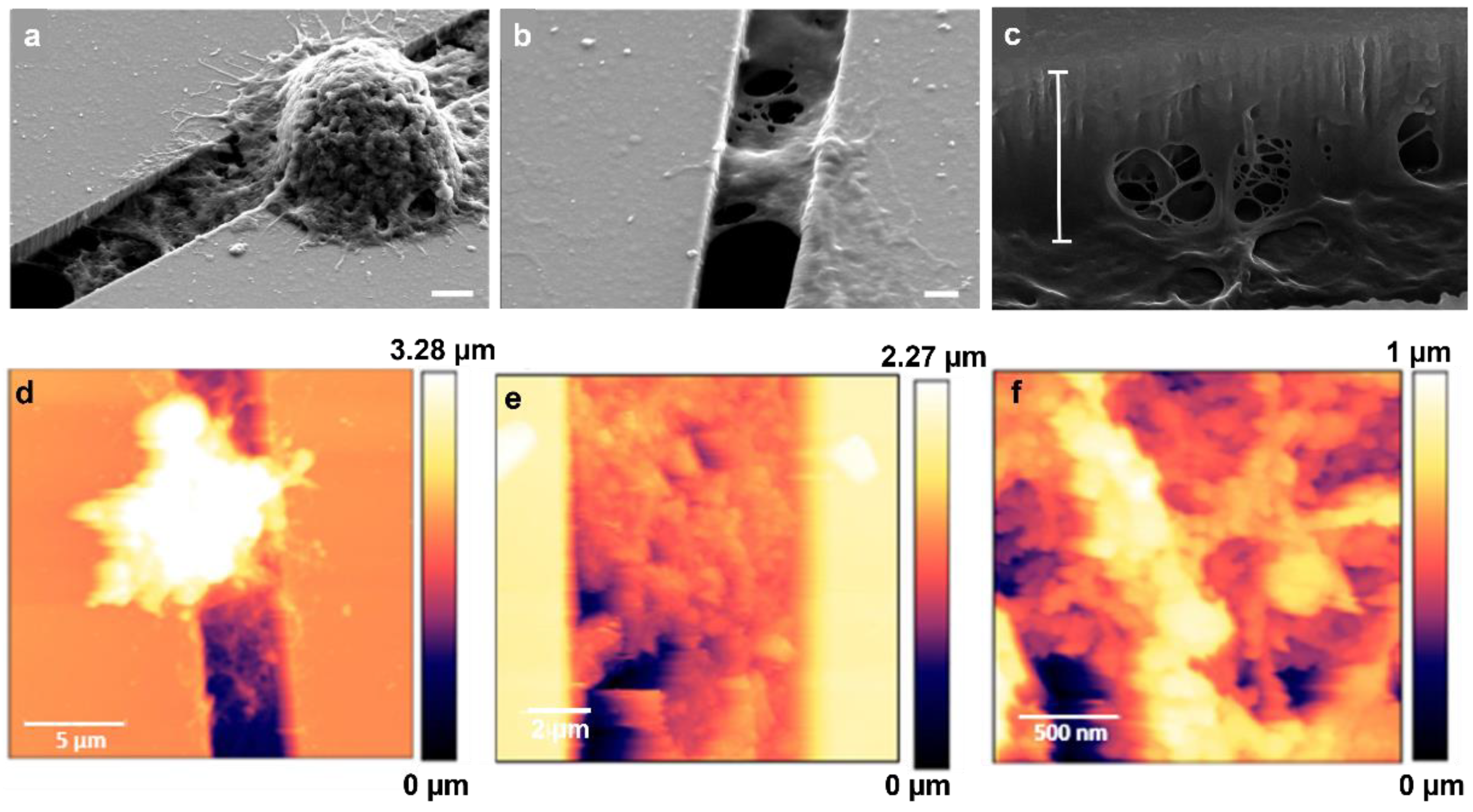 Biosensors 12 00822 g010 Biosensors 12 00822 g010