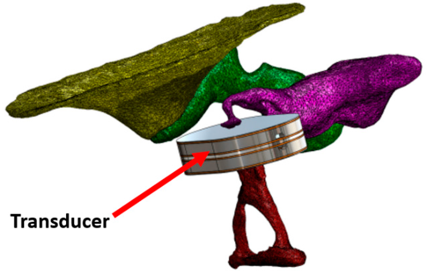 Biosensors 12 00835 g006