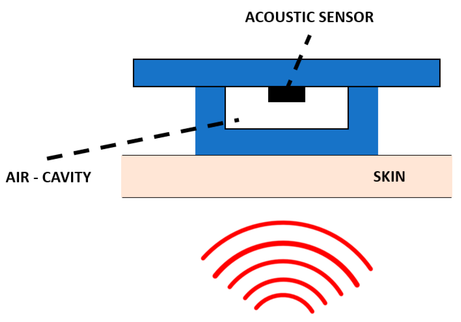 Biosensors 12 00835 g013