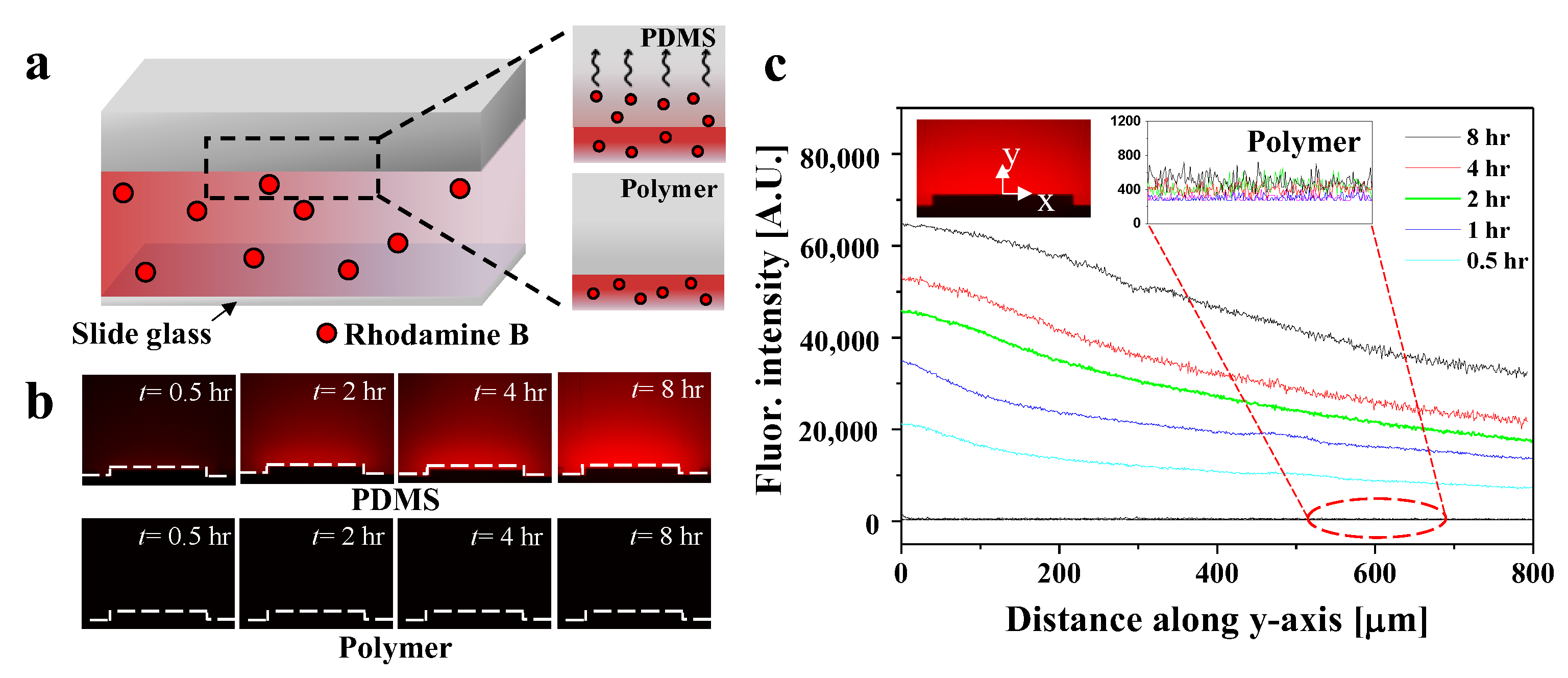 Biosensors 12 00838 g004
