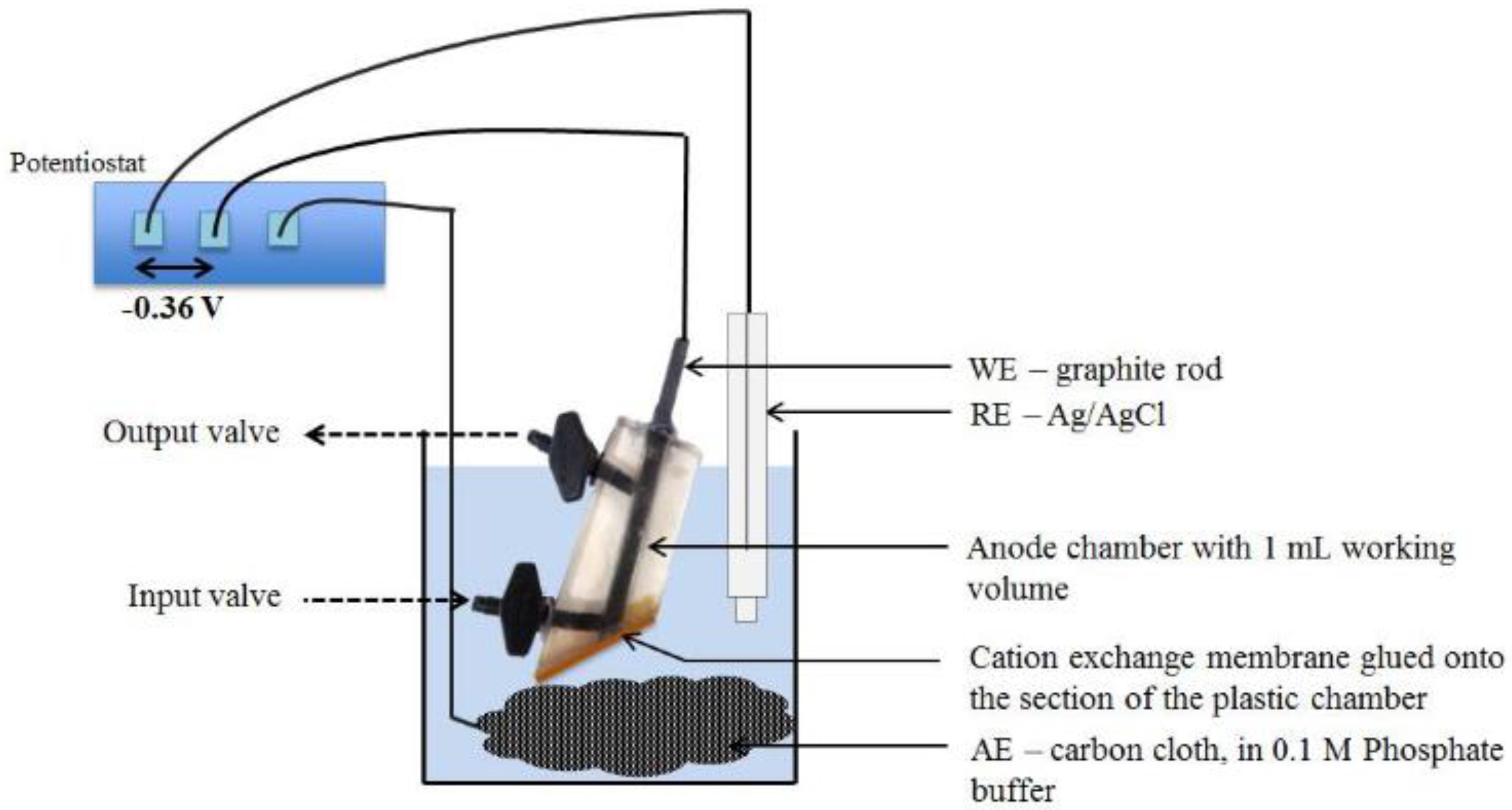 Biosensors 12 00842 g004