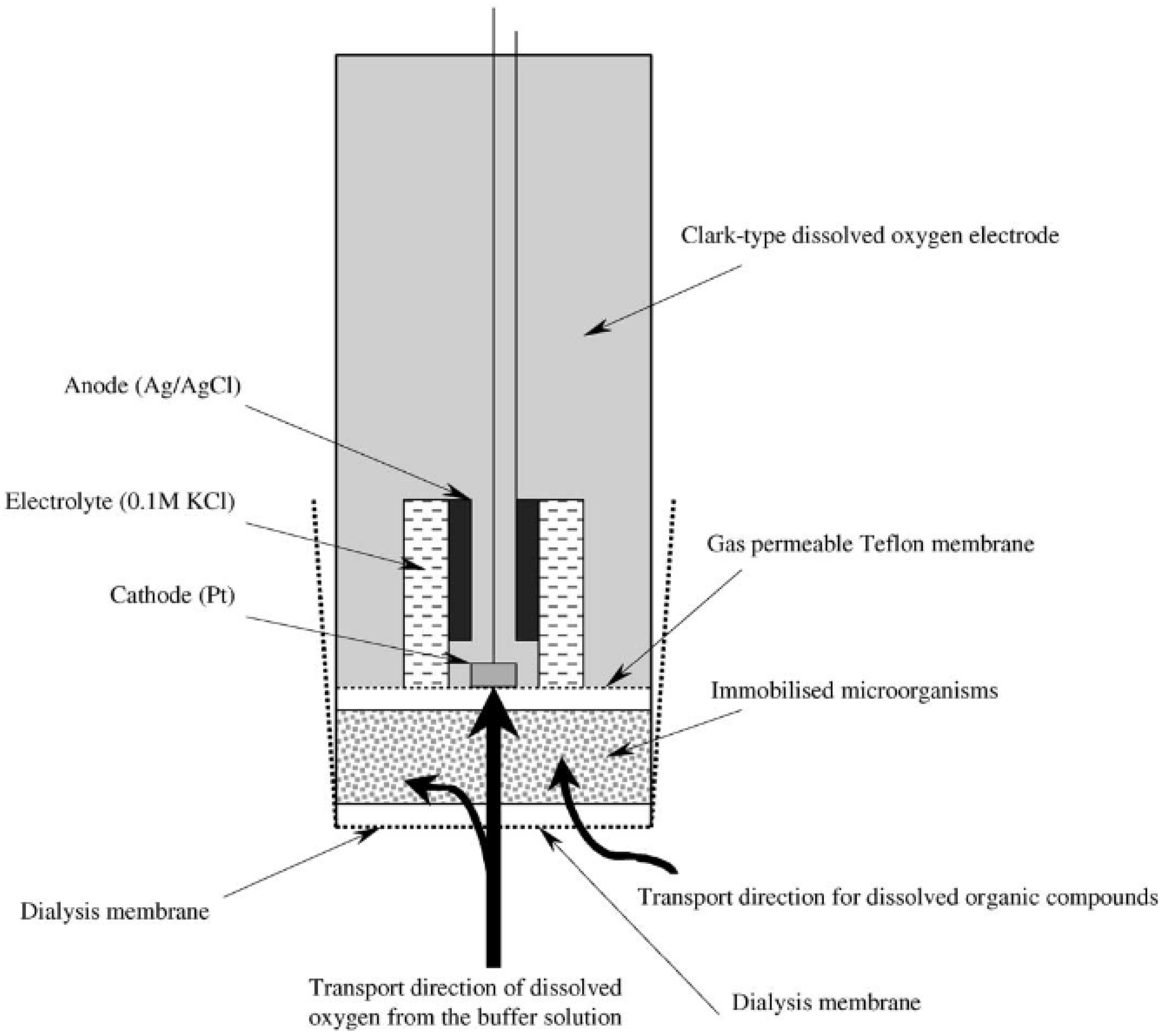 Biosensors 12 00842 g005