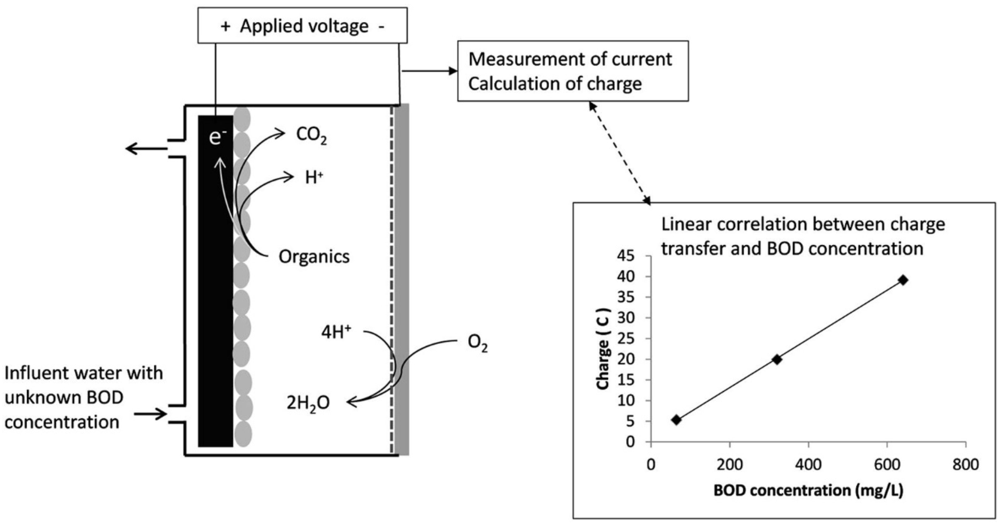 Biosensors 12 00842 g006