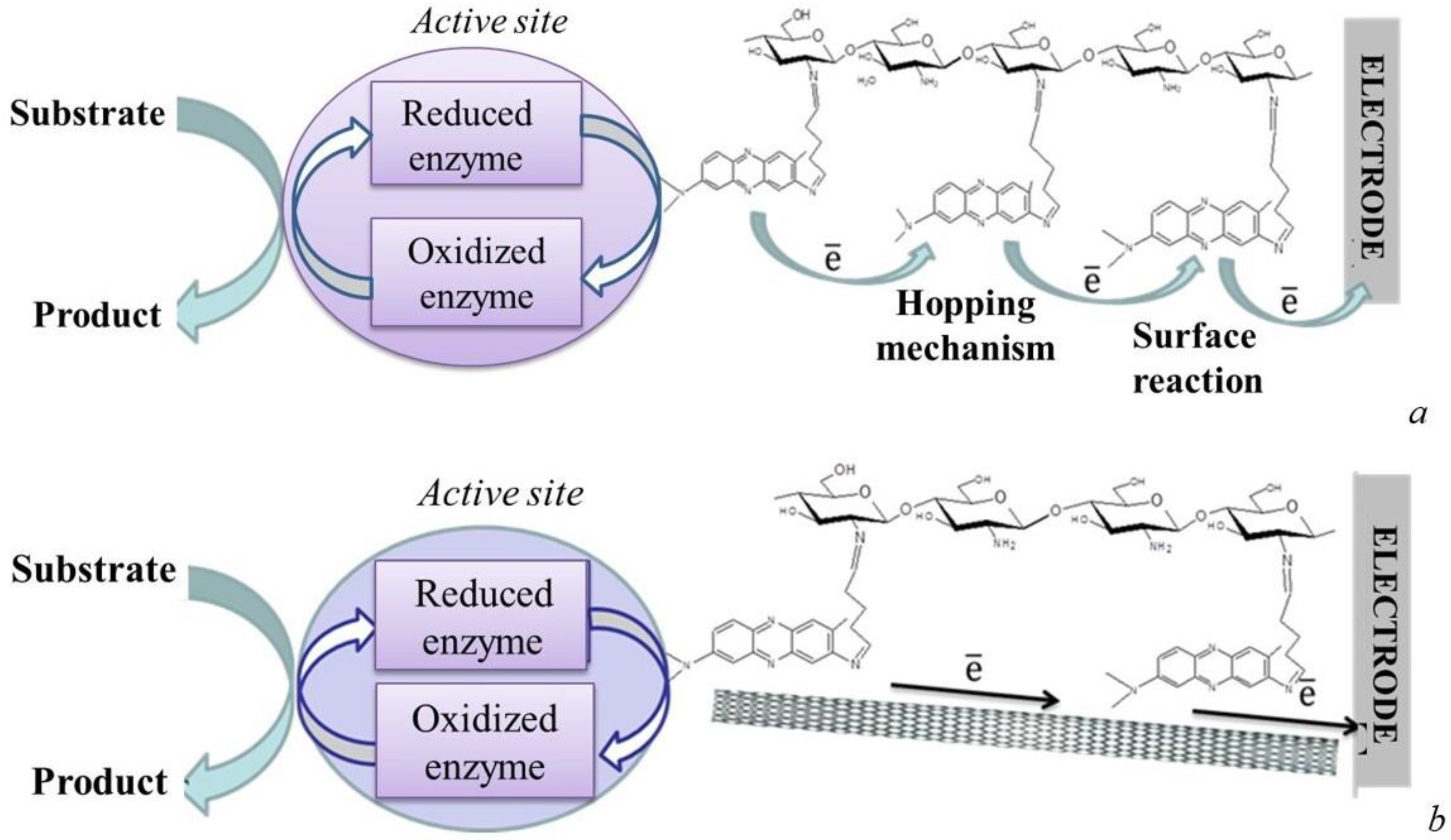 Biosensors 12 00842 g011