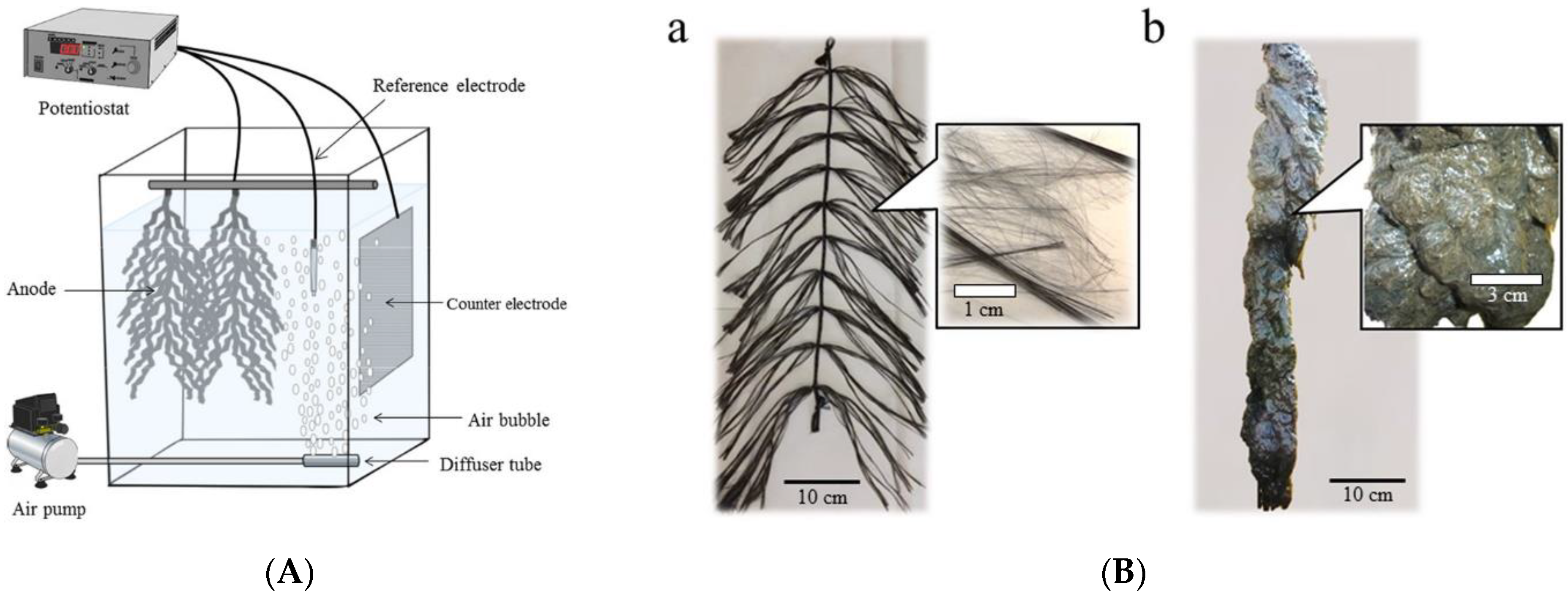 Biosensors 12 00842 g014