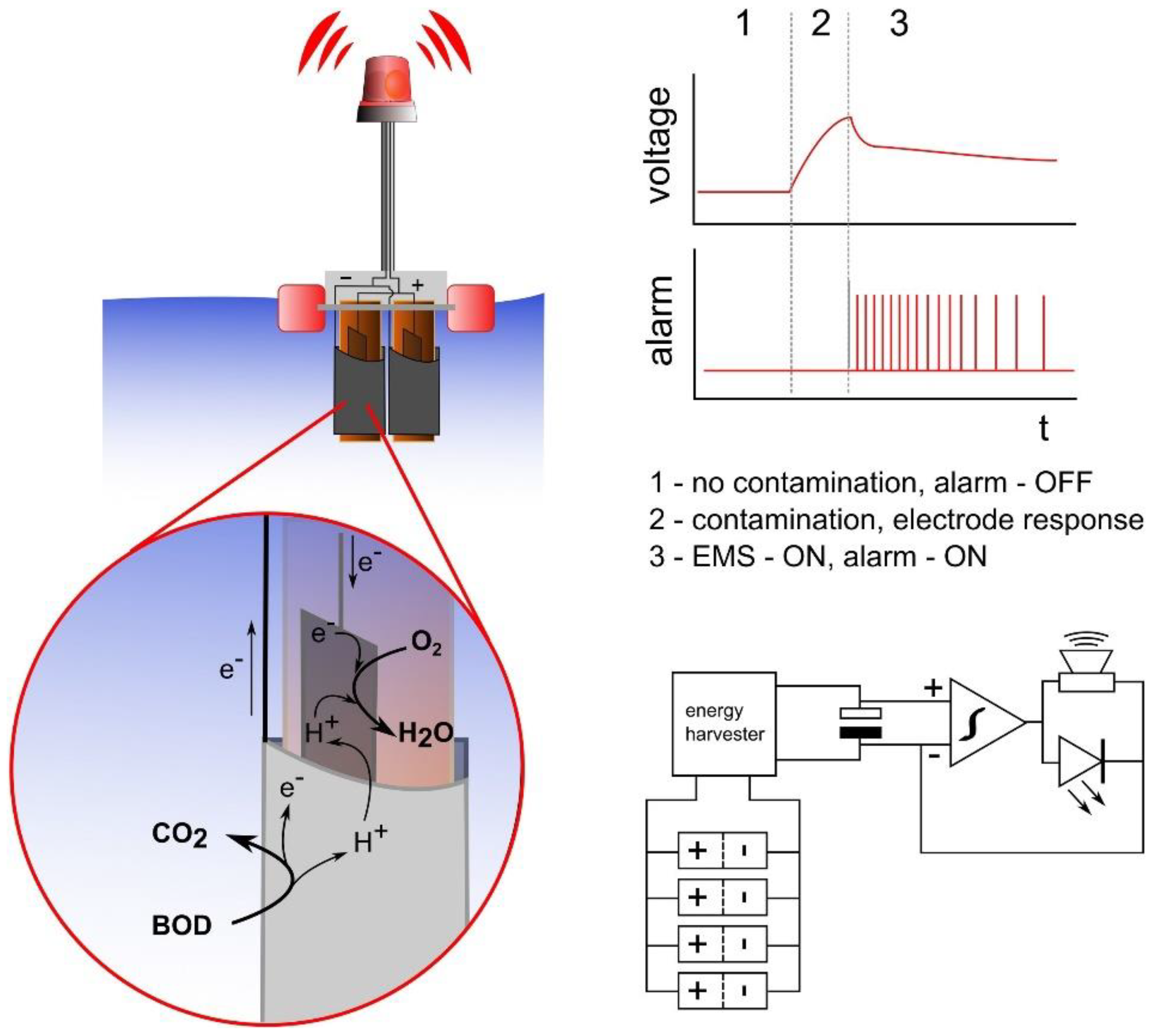Biosensors 12 00842 g015