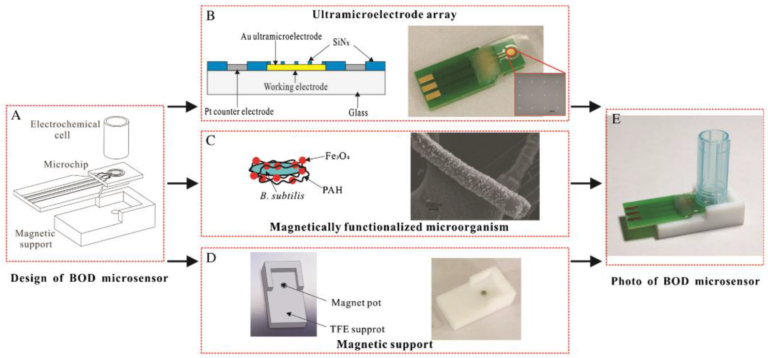 Biosensors 12 00842 g016