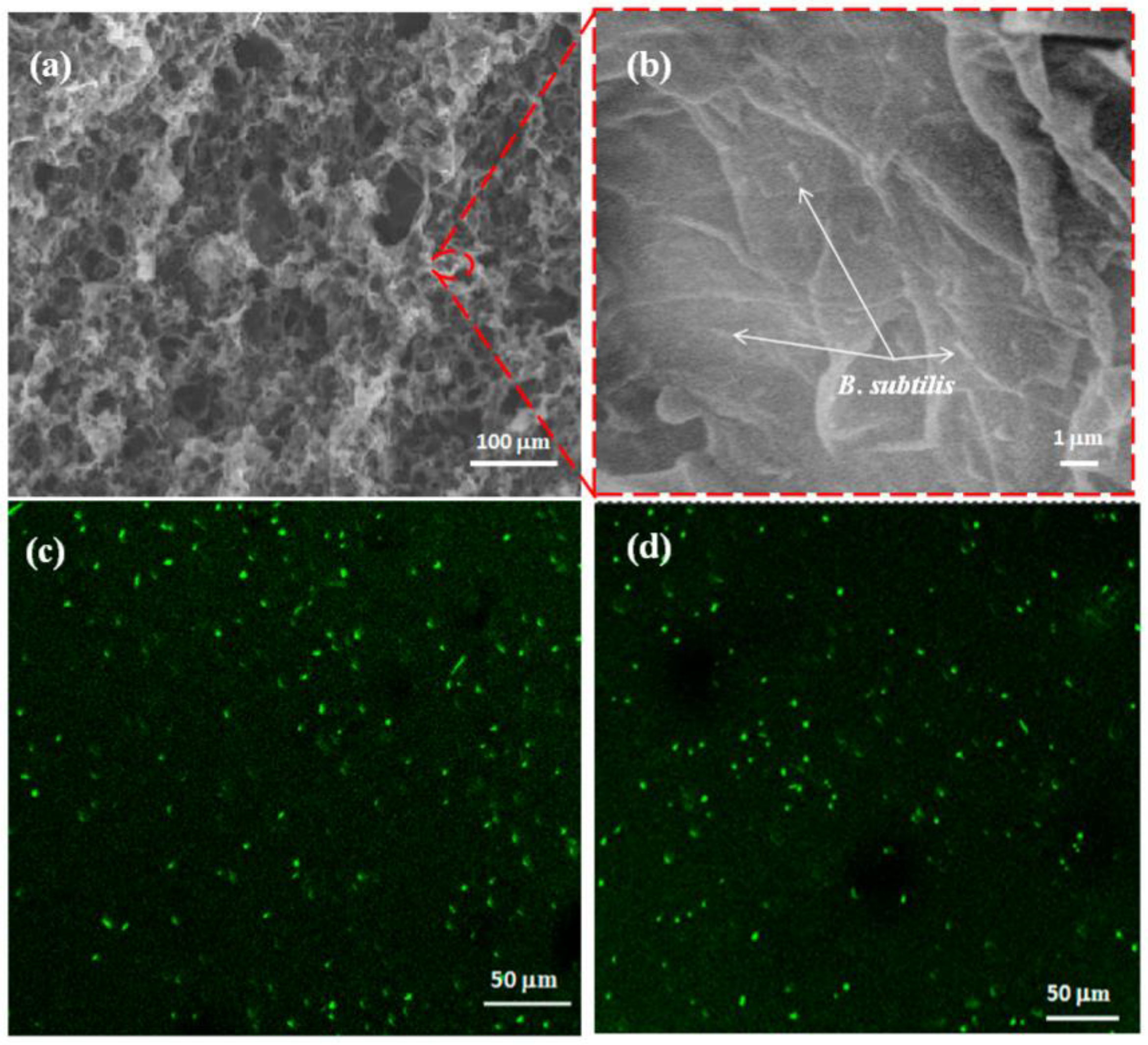 Biosensors 12 00842 g017