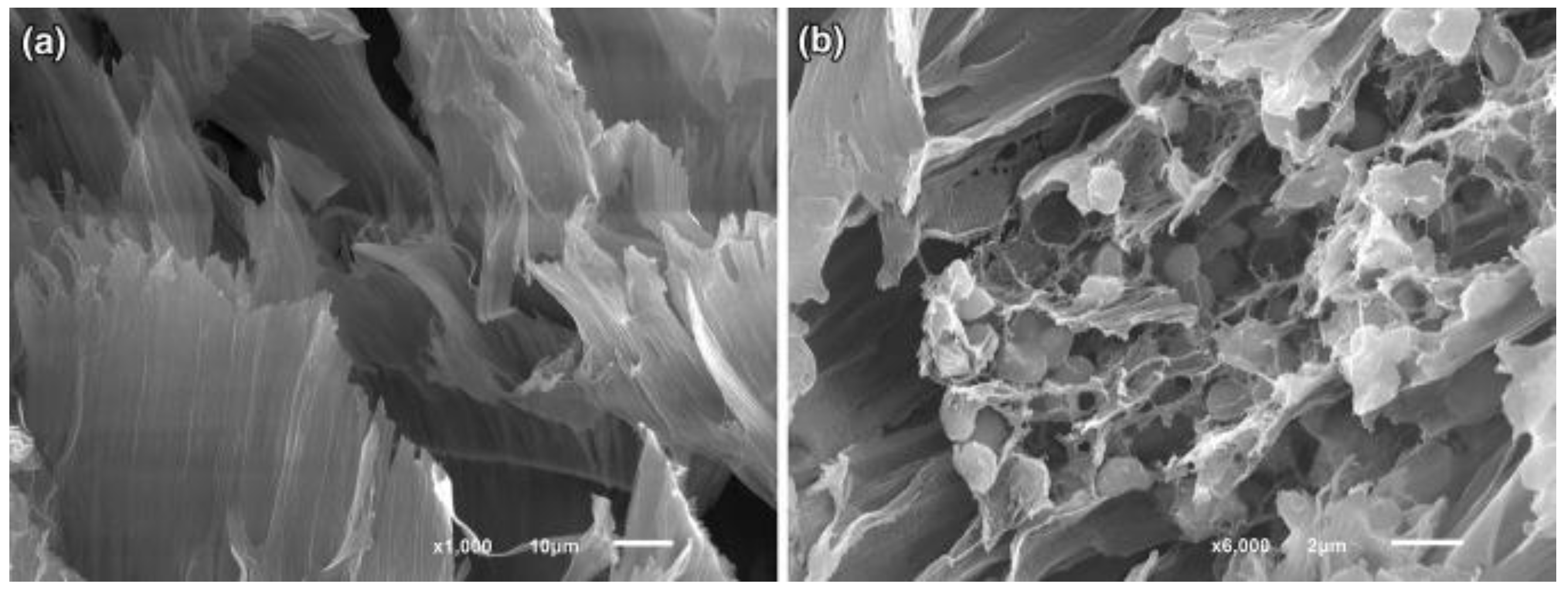 Biosensors 12 00842 g019