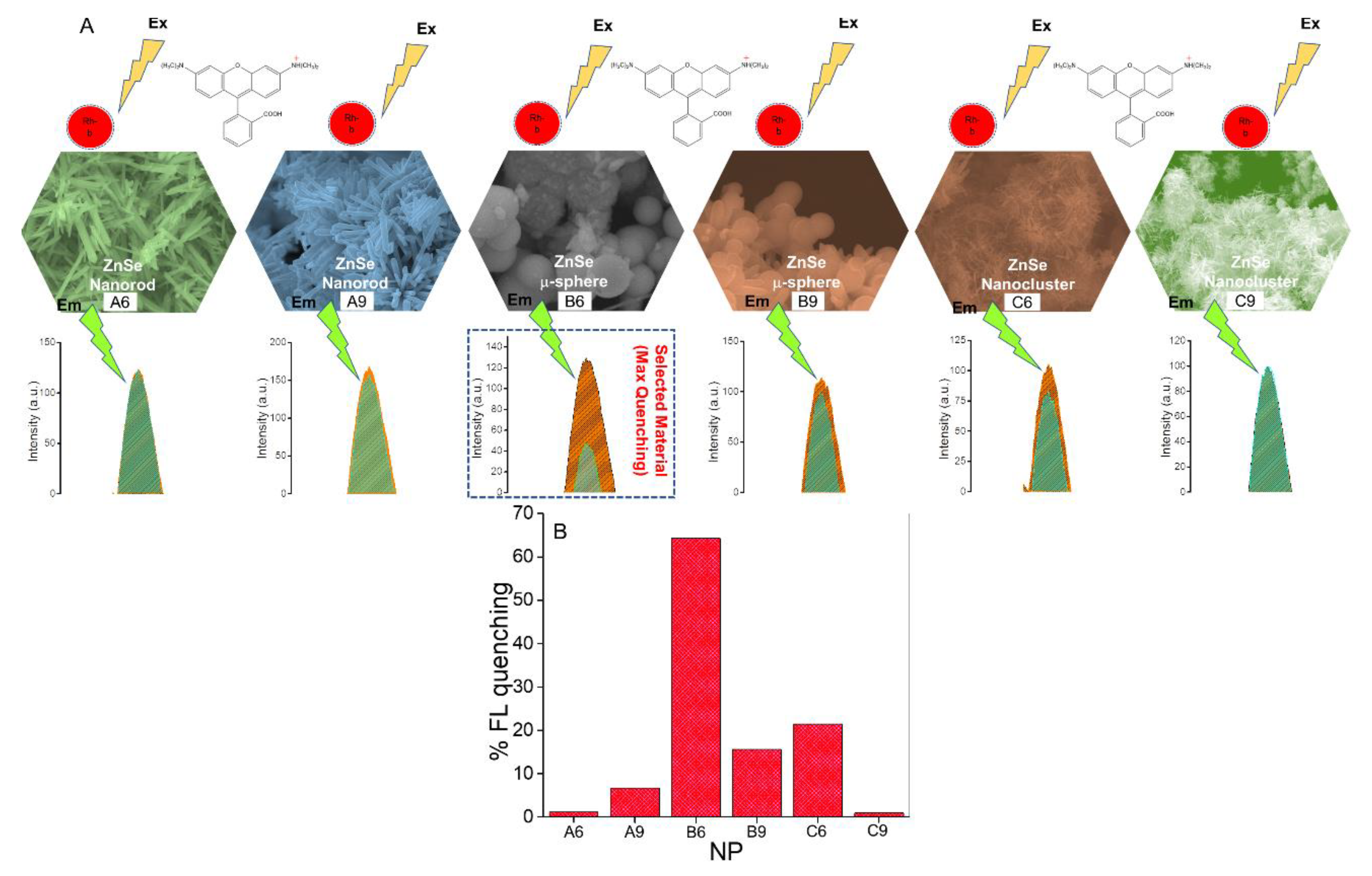 Biosensors 12 00844 g004