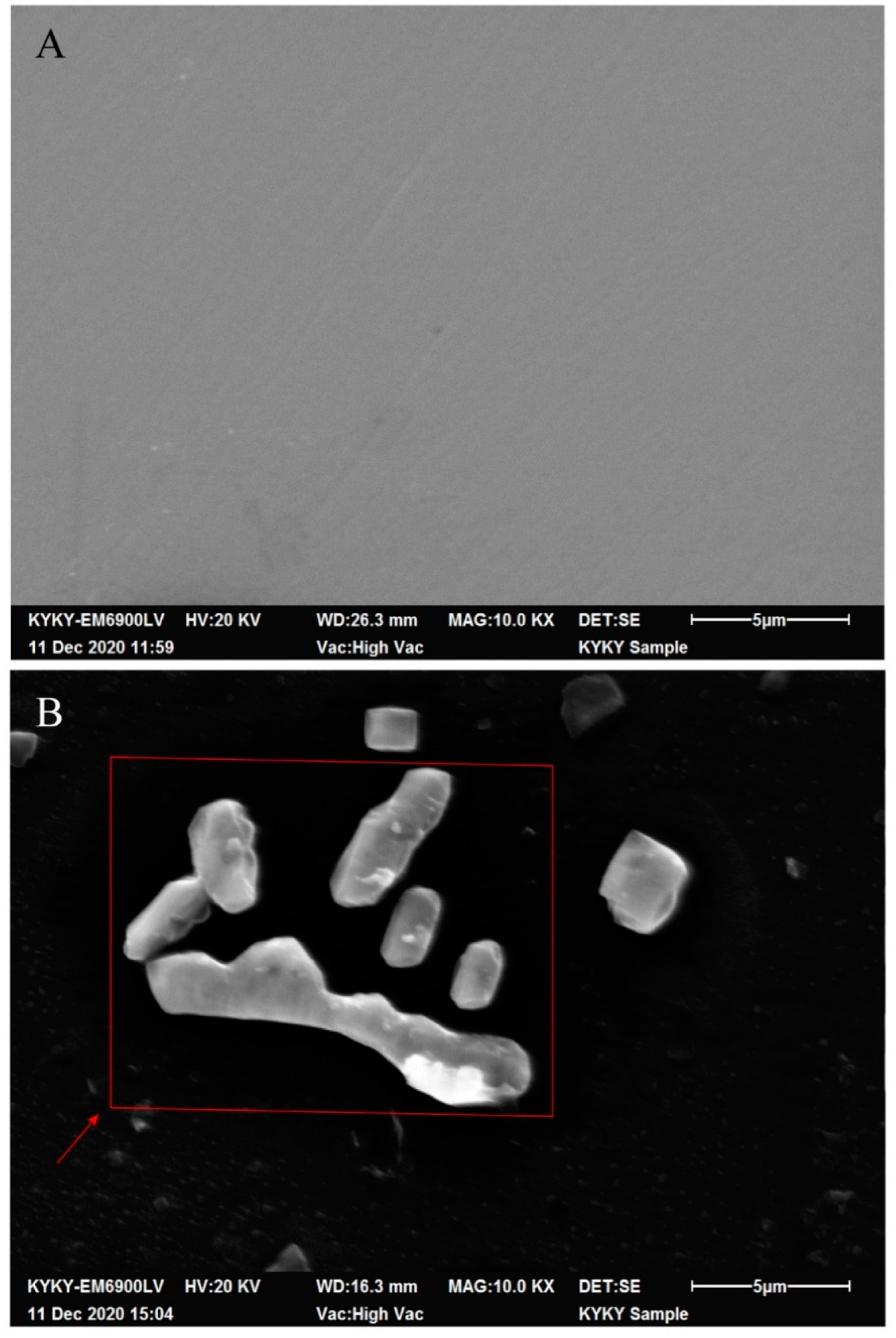 Biosensors 12 00845 g004