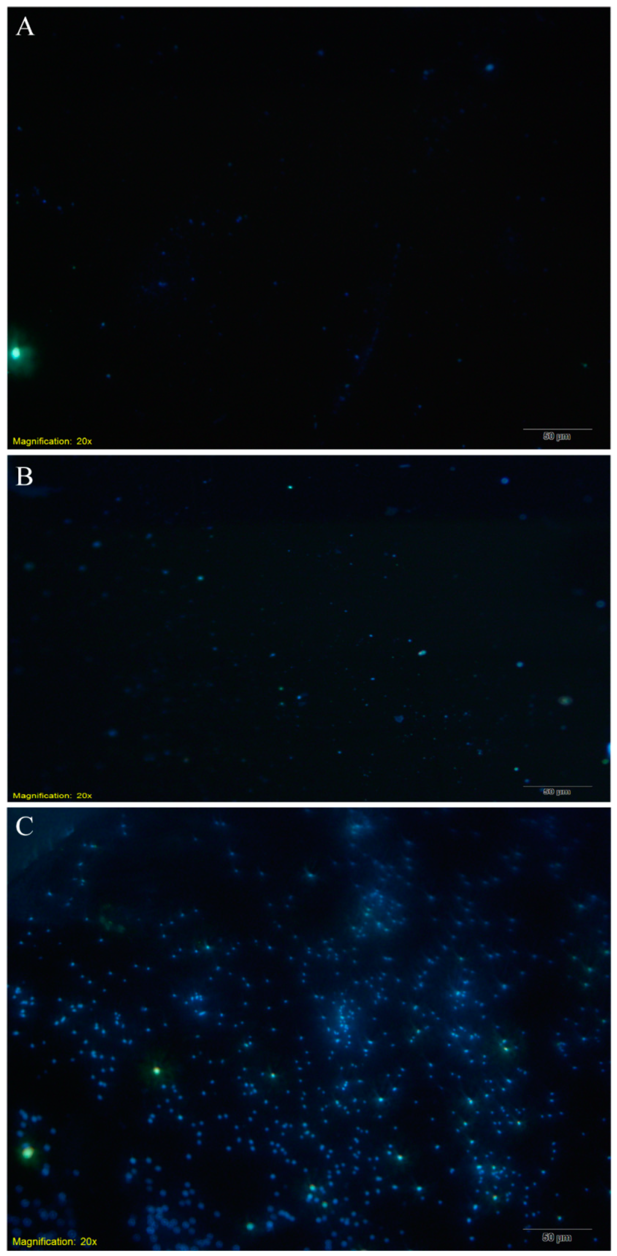 Biosensors 12 00845 g005