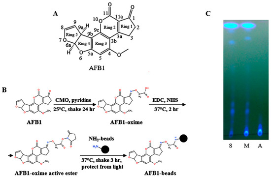 Biosensors | Free Full-Text | Aptamer against Aflatoxin B1